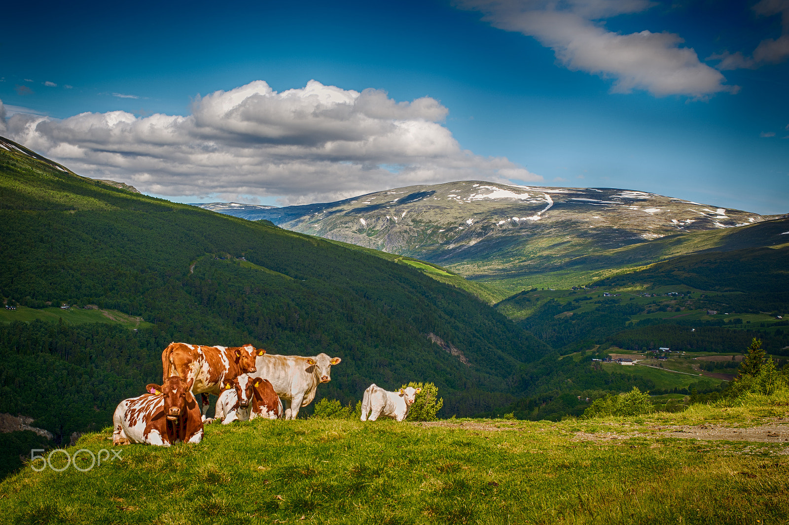 Nikon D810 + Nikon AF Nikkor 35mm F2D sample photo. A romantic view photography