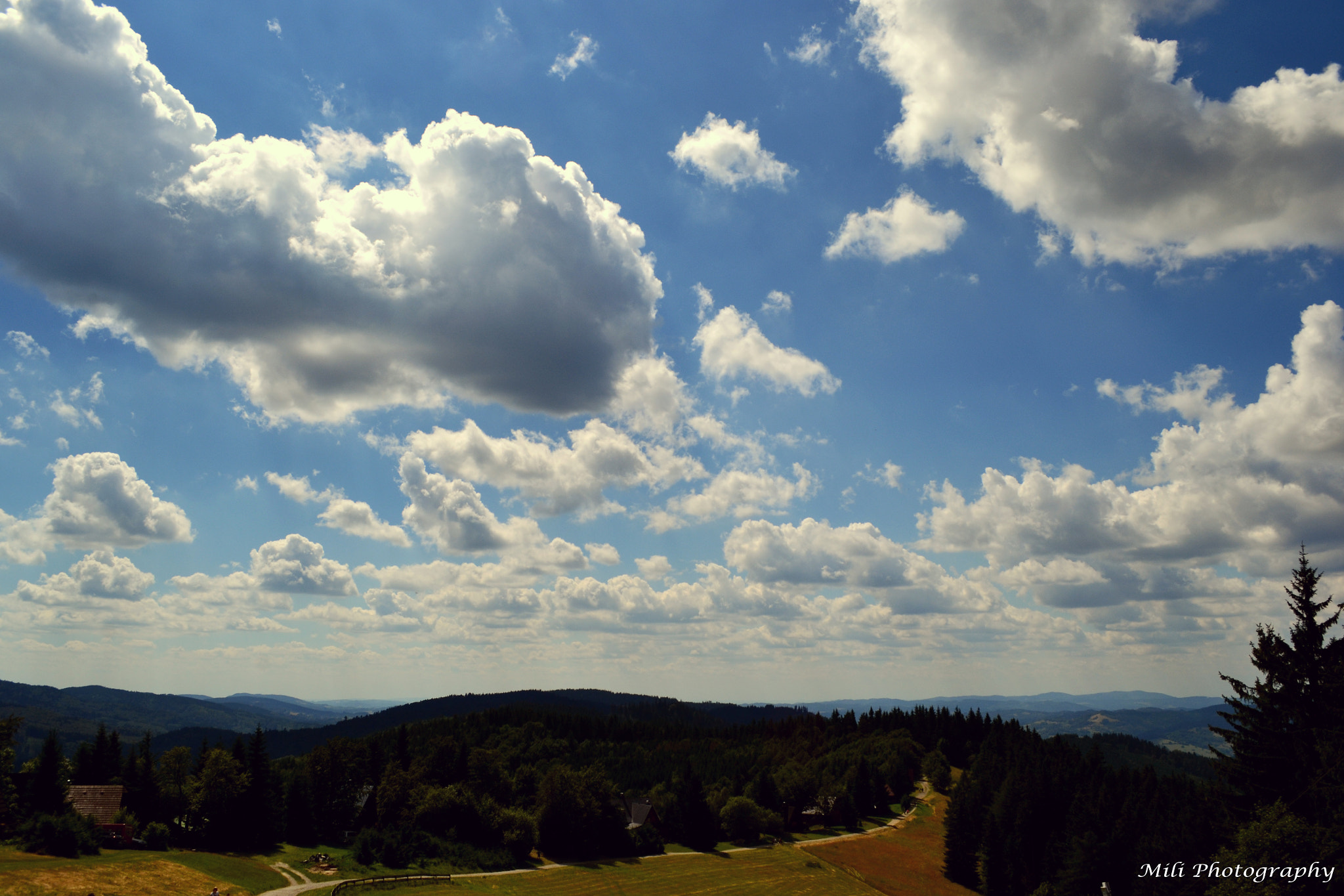 Nikon D3100 sample photo. Thoughts in mind photography