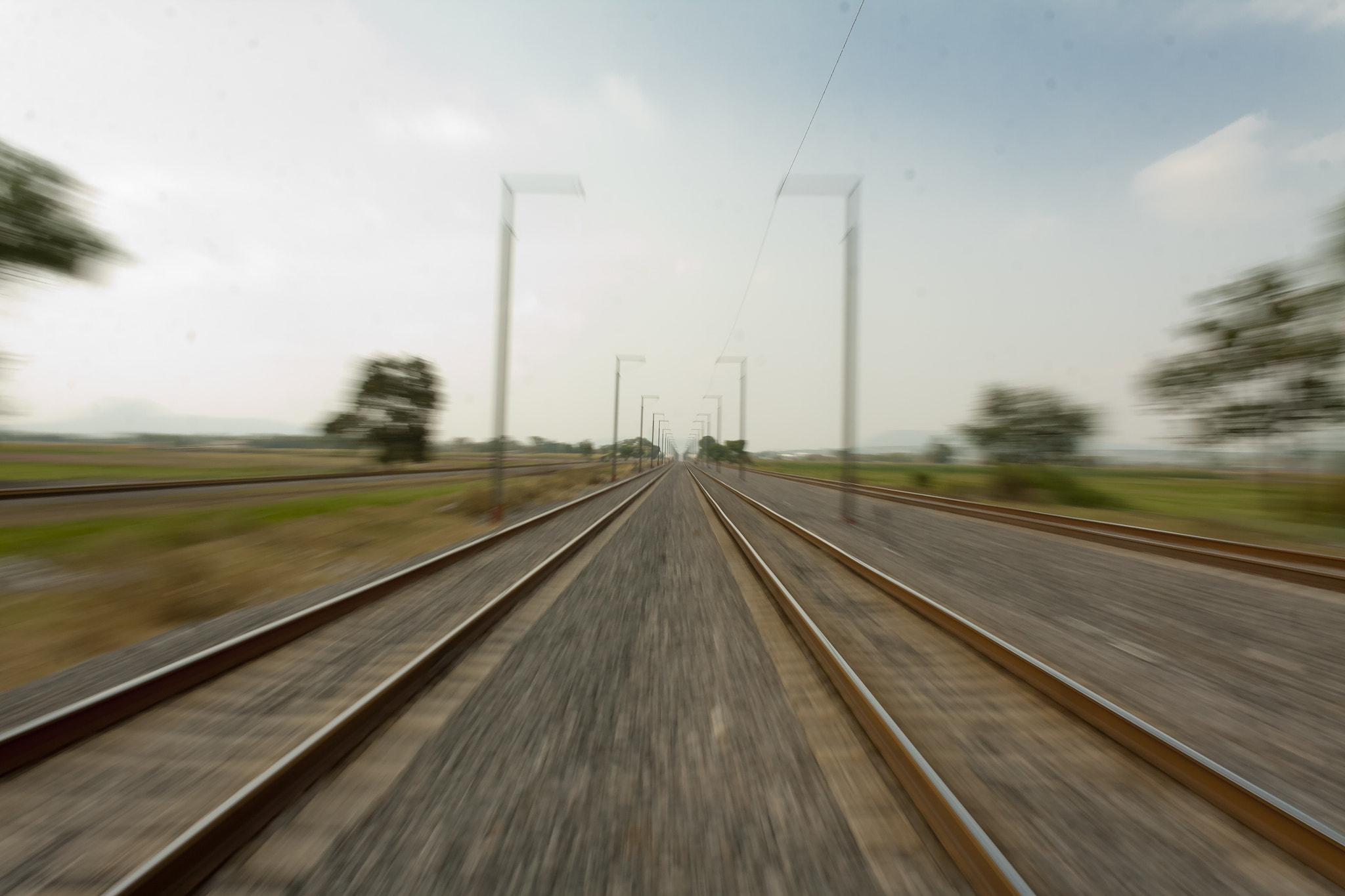 Canon EOS 50D sample photo. Runaway!!!!!!! photography