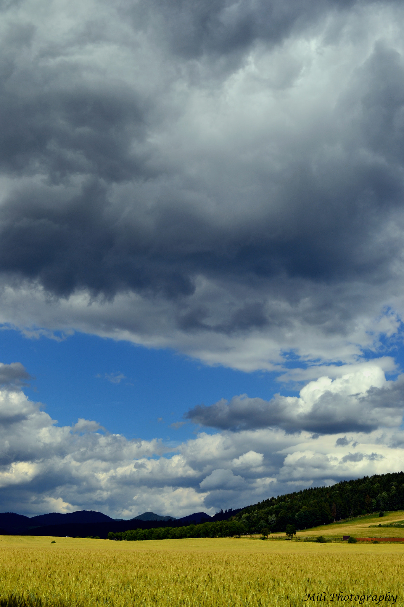 Sigma 70-200mm F2.8 EX DG Macro HSM II sample photo. Hole to heaven photography