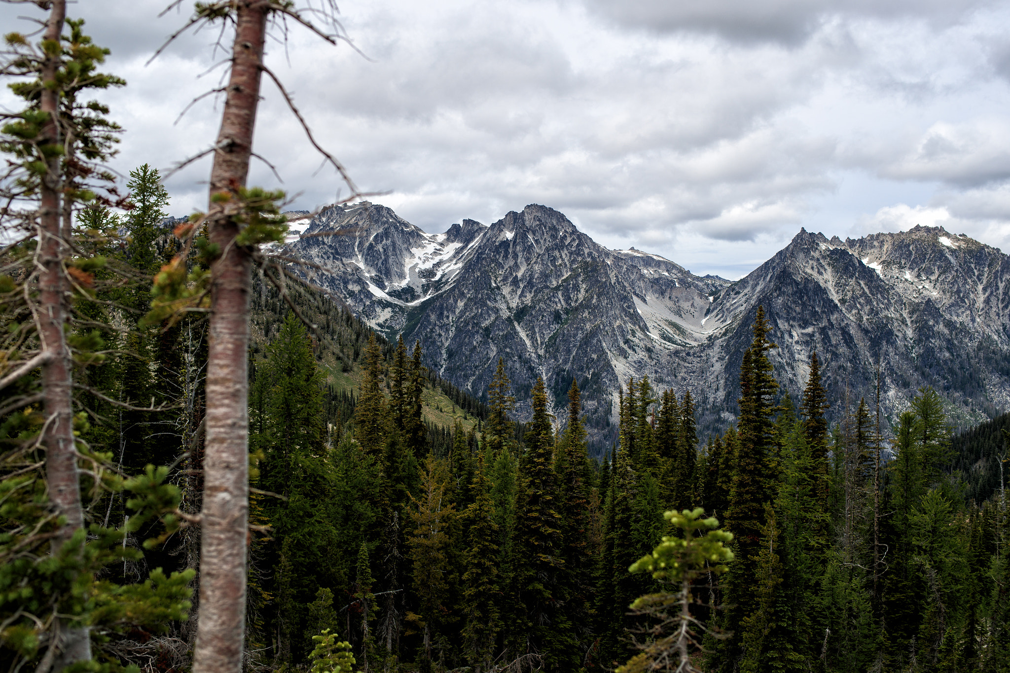 Canon EOS-1D X Mark II sample photo. The stuart range photography