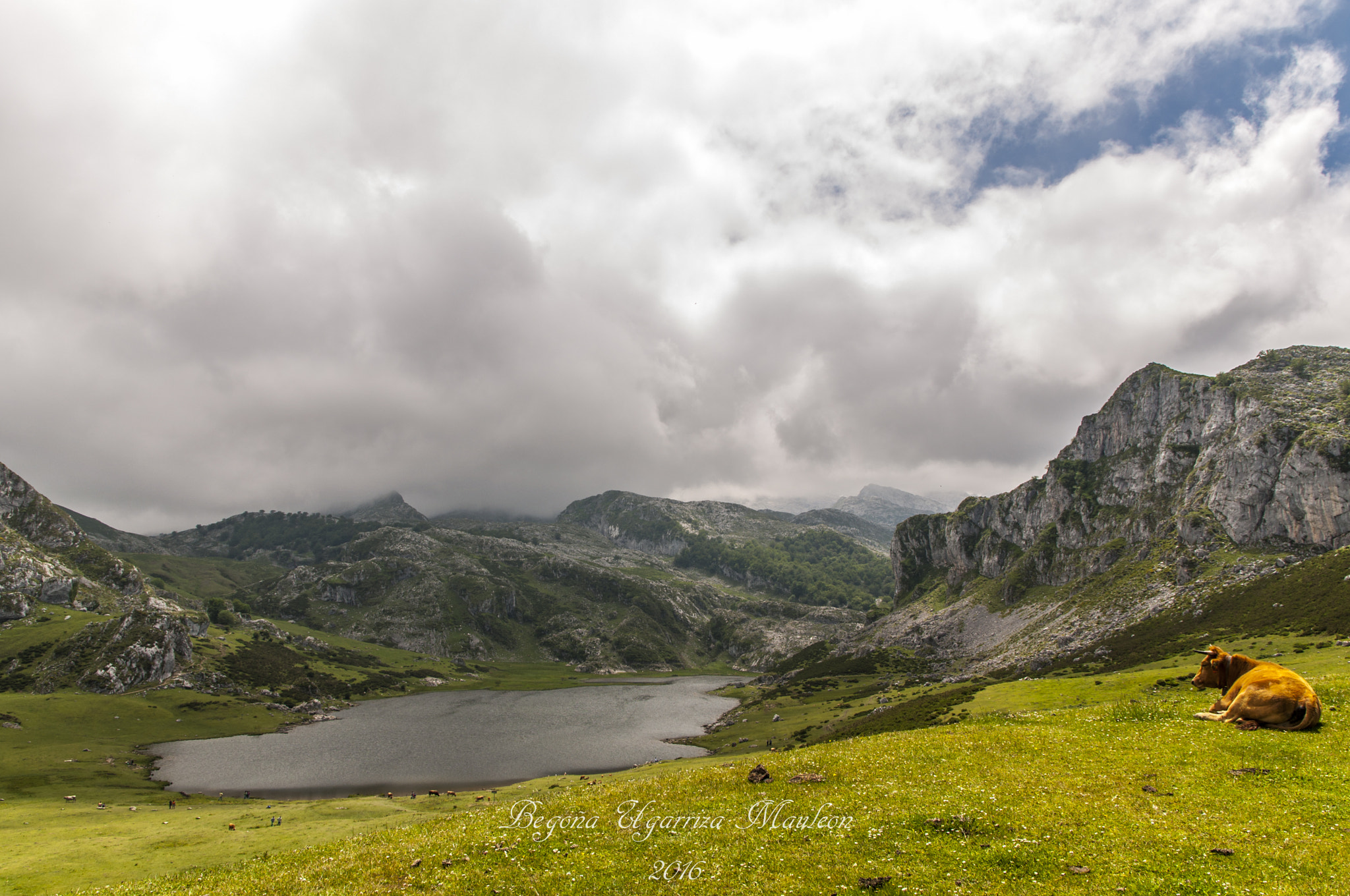 Sigma 17-70mm F2.8-4 DC Macro OS HSM | C sample photo. Lagos de enol. lago ercina photography