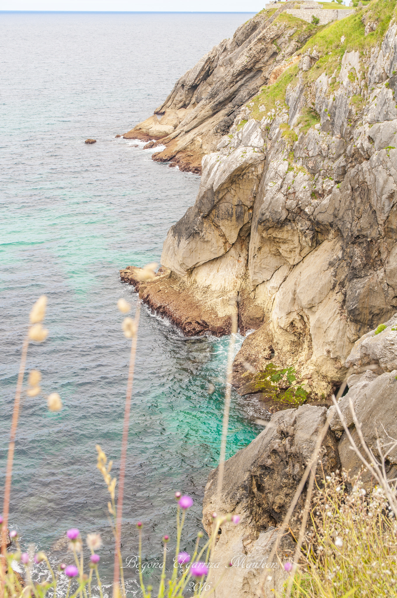 Sigma 17-70mm F2.8-4 DC Macro OS HSM | C sample photo. Llanes photography
