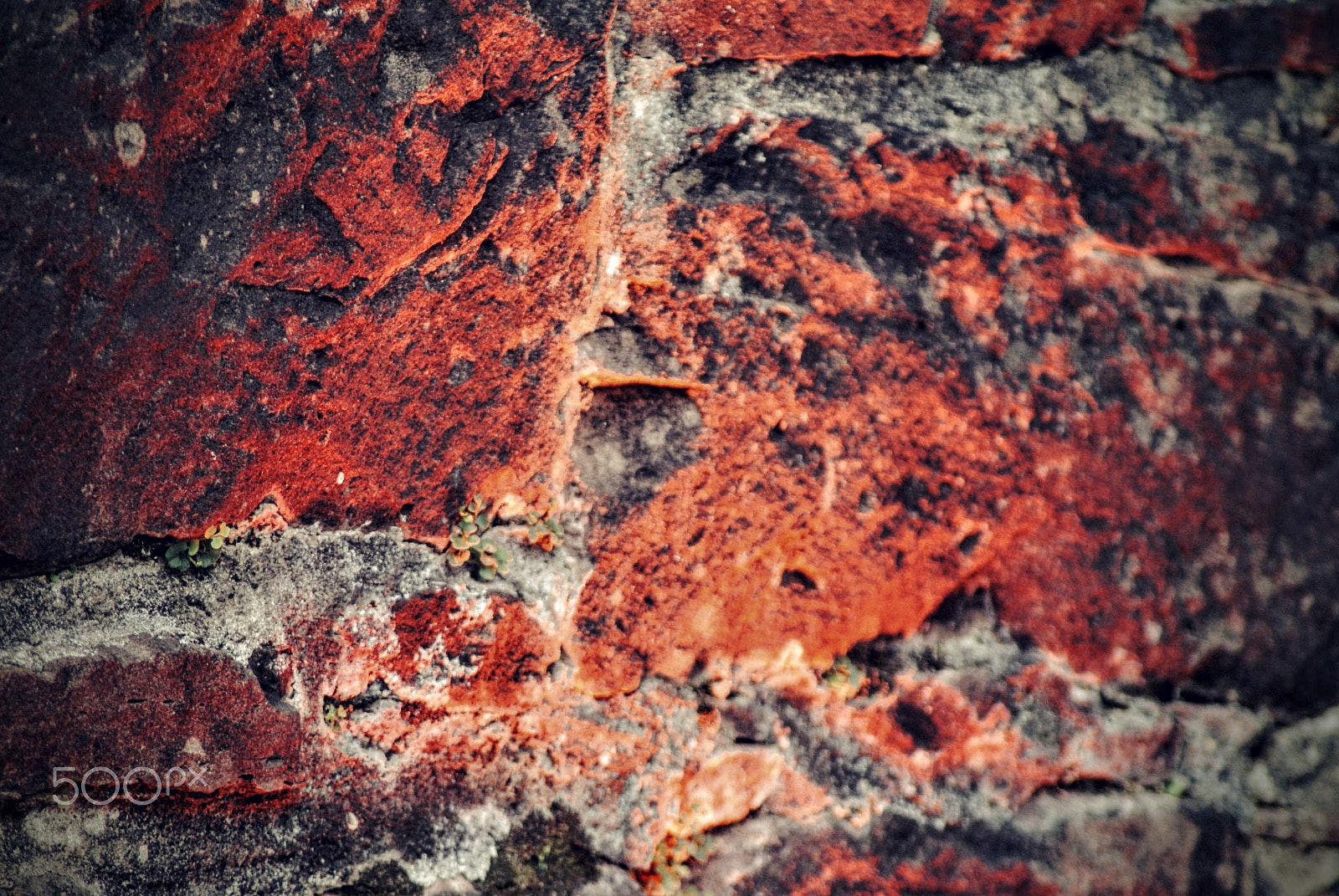 Sony Alpha DSLR-A200 + Tamron Lens (255) sample photo. Bricks photography