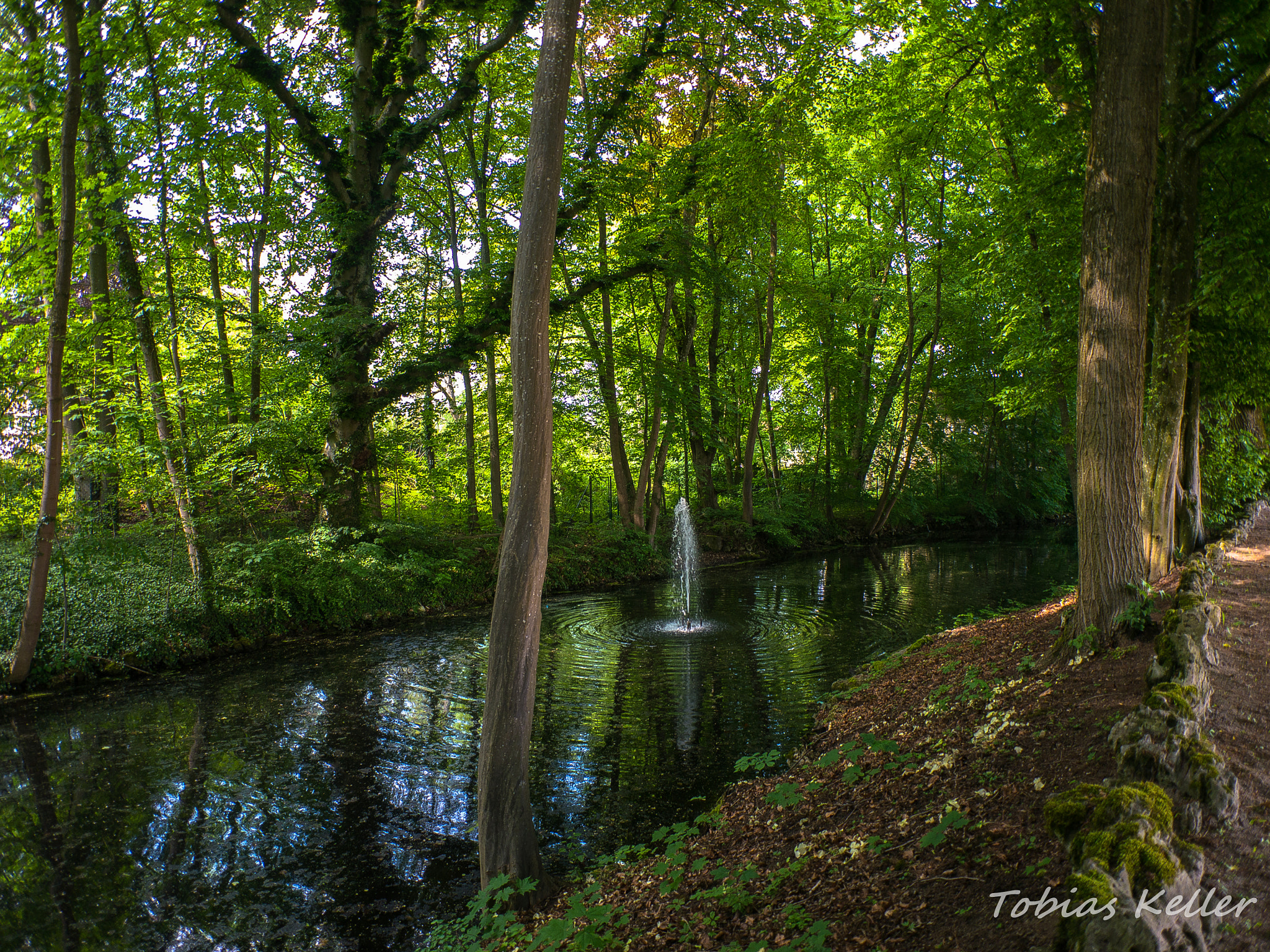 Panasonic Lumix DMC-G5 + Panasonic Lumix G 14mm F2.5 ASPH sample photo. Fontäne im park photography