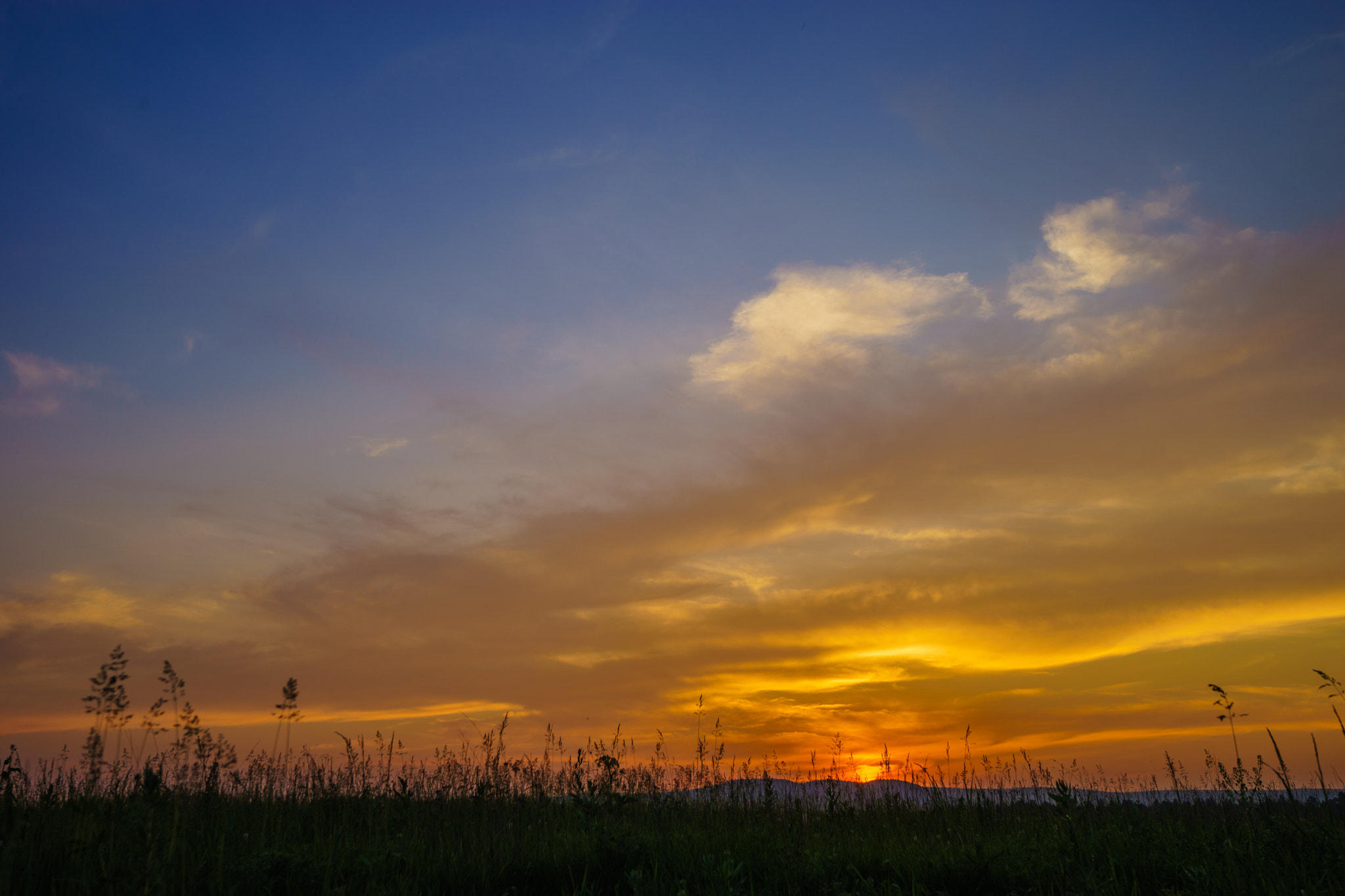 Sony a99 II + Sony Vario-Sonnar T* 16-35mm F2.8 ZA SSM sample photo. Evening. field.  photography