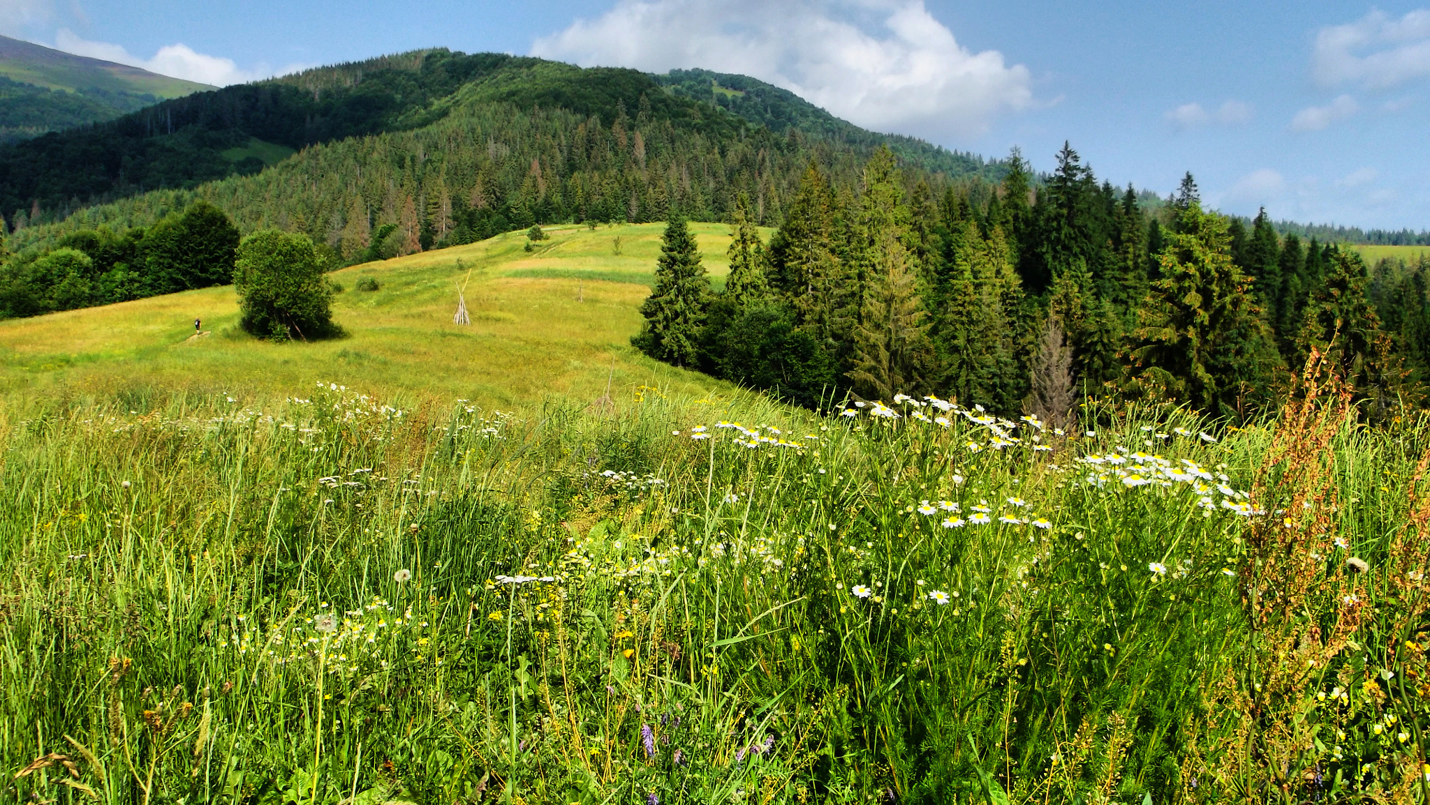 Fujifilm FinePix AX500 sample photo. Summer, ukraine, karpaty, mountains, view, landscape photography
