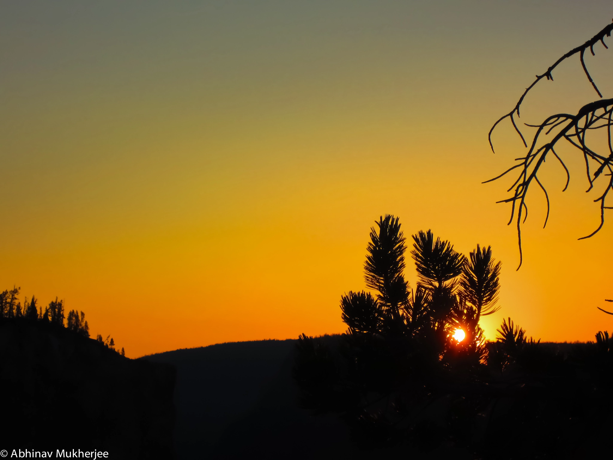 Canon PowerShot ELPH 300 HS (IXUS 220 HS / IXY 410F) sample photo. Yellowstone canyon sunrise photography