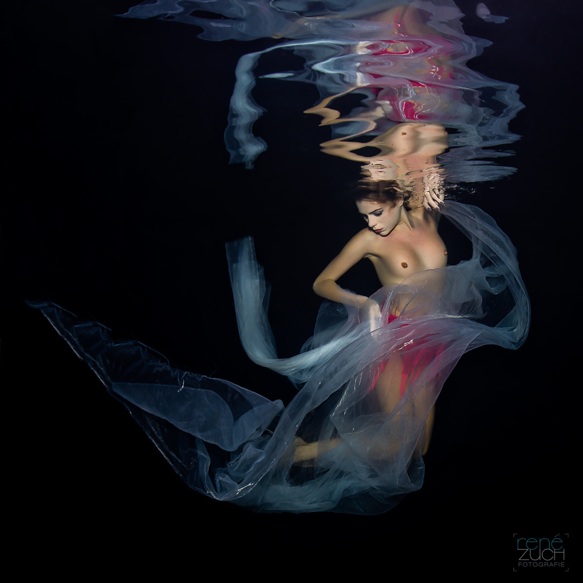 Nikon D800 + Sigma 15mm F2.8 EX DG Diagonal Fisheye sample photo. Underwater photography
