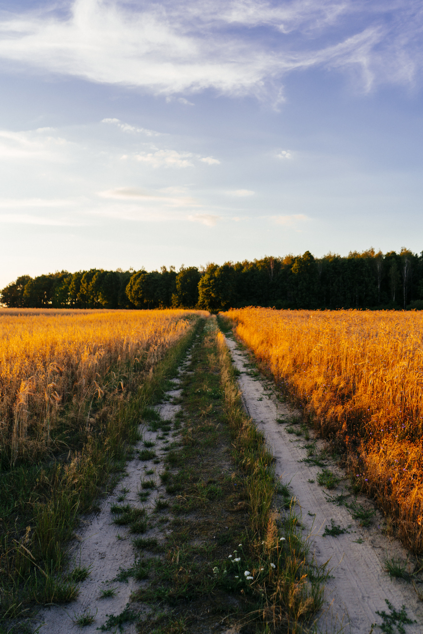 Sony a7R II + Sony FE 28-70mm F3.5-5.6 OSS sample photo. On the road again, traveling through europe! photography