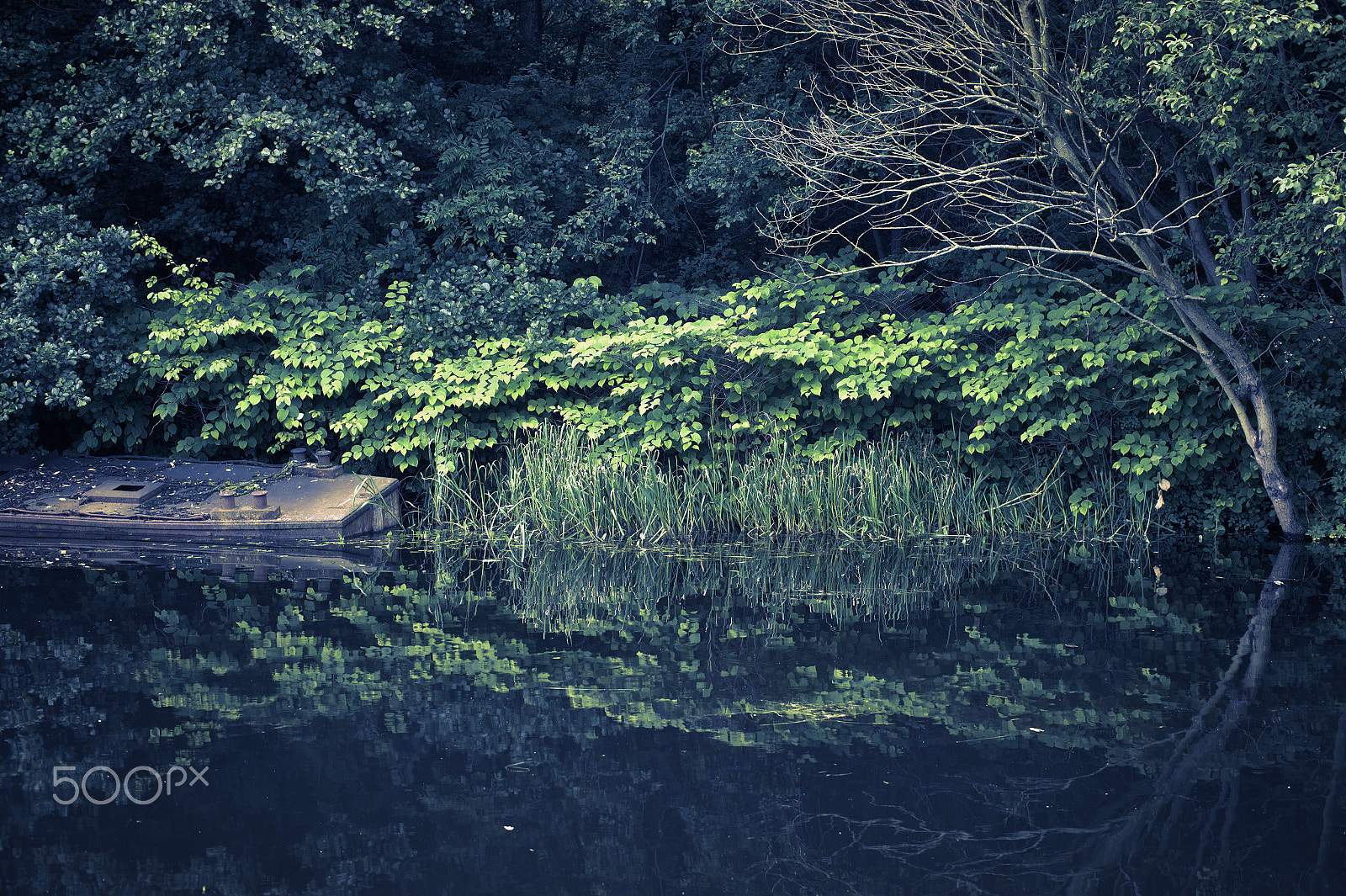 Nikon Df + AF Nikkor 50mm f/1.8 sample photo. Reflection photography