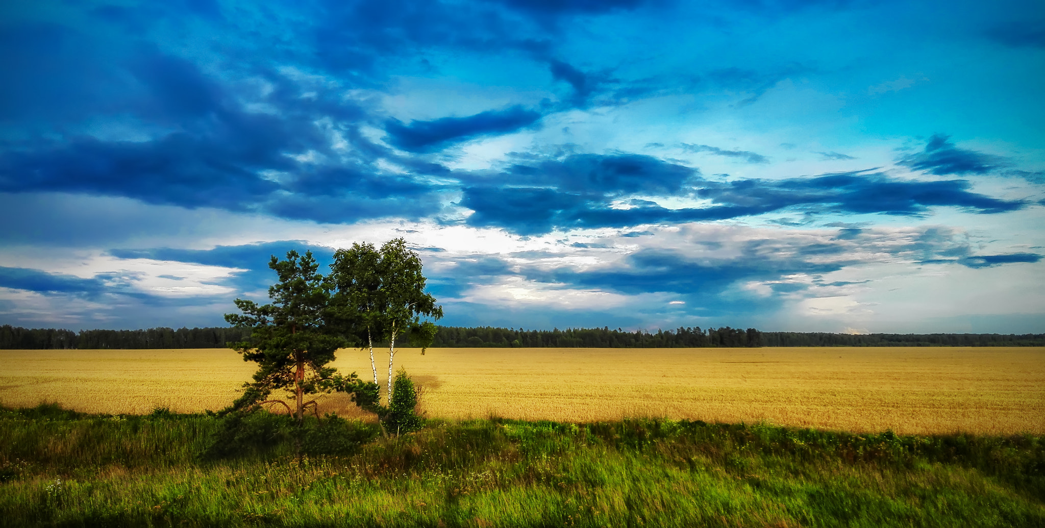 HUAWEI H60-L04 sample photo. Sunset field photography