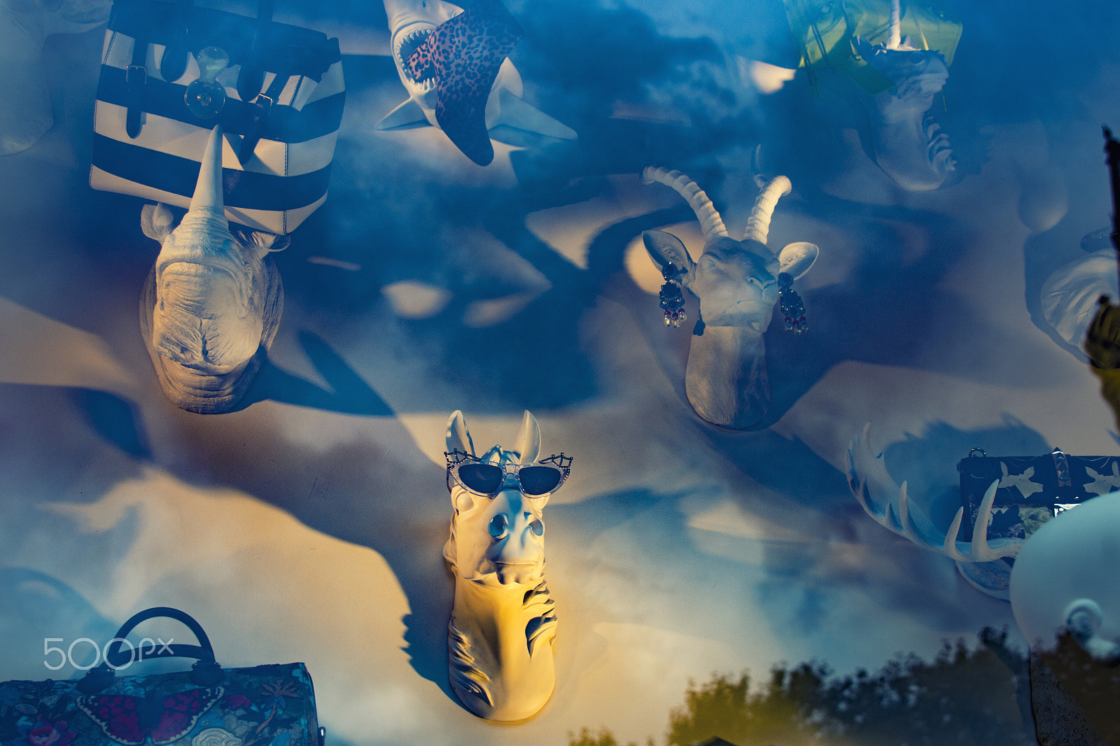 Sigma 24-70mm F2.8 EX DG HSM sample photo. Zebras with sunglasses photography