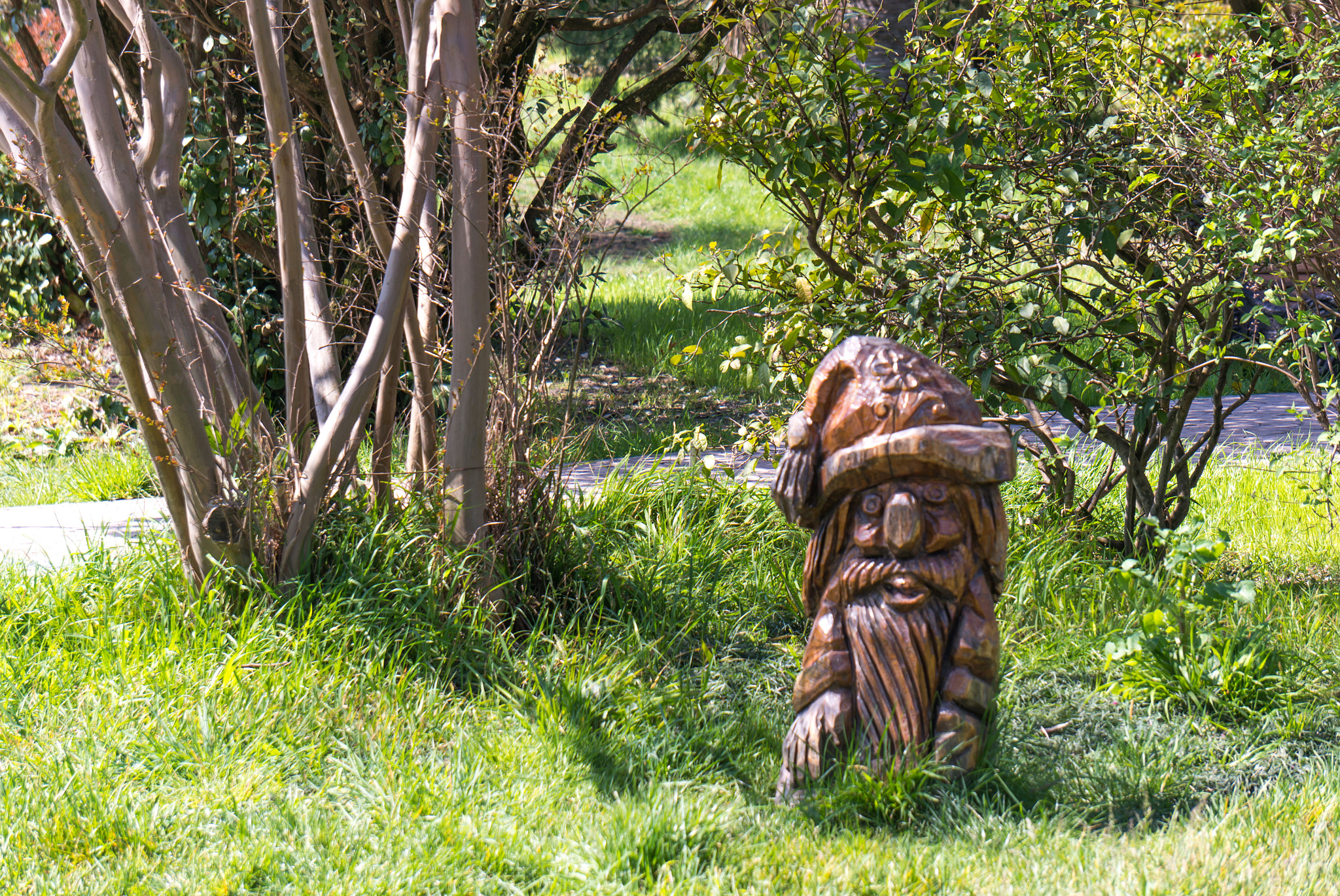 Sony Alpha NEX-5R + Sony E 55-210mm F4.5-6.3 OSS sample photo. Wooden gnome photography