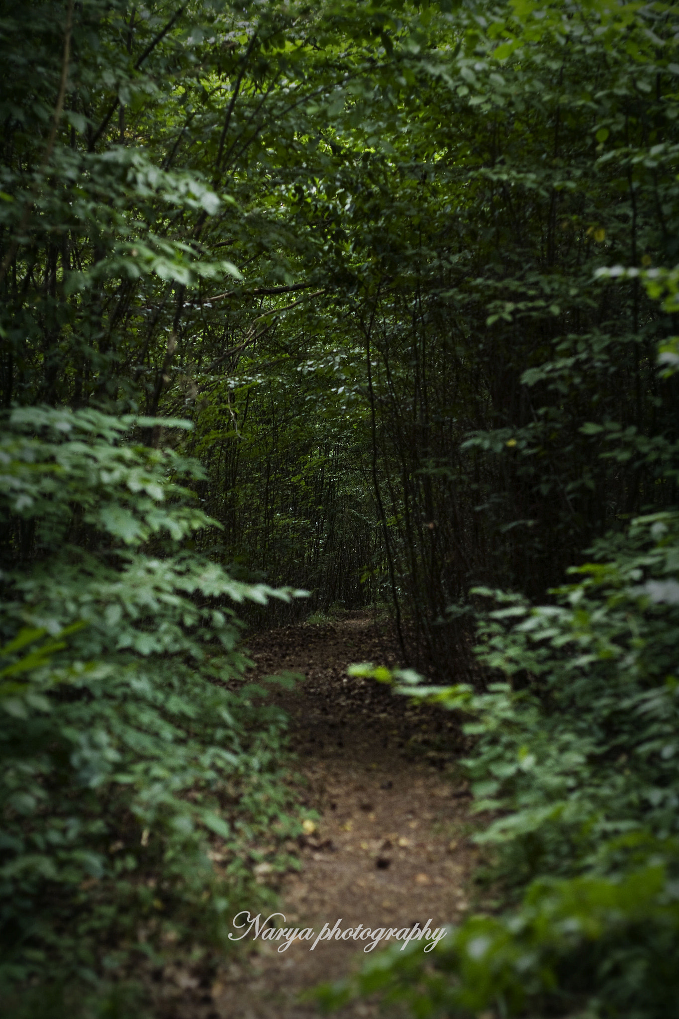 Canon EOS 1000D (EOS Digital Rebel XS / EOS Kiss F) + Canon EF 50mm F1.8 II sample photo. Secred roud photography