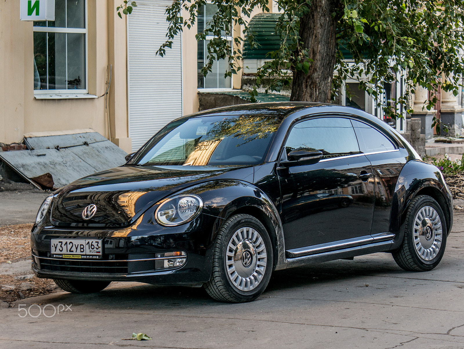Sony Alpha NEX-5R + Sony E 55-210mm F4.5-6.3 OSS sample photo. Beetle photography