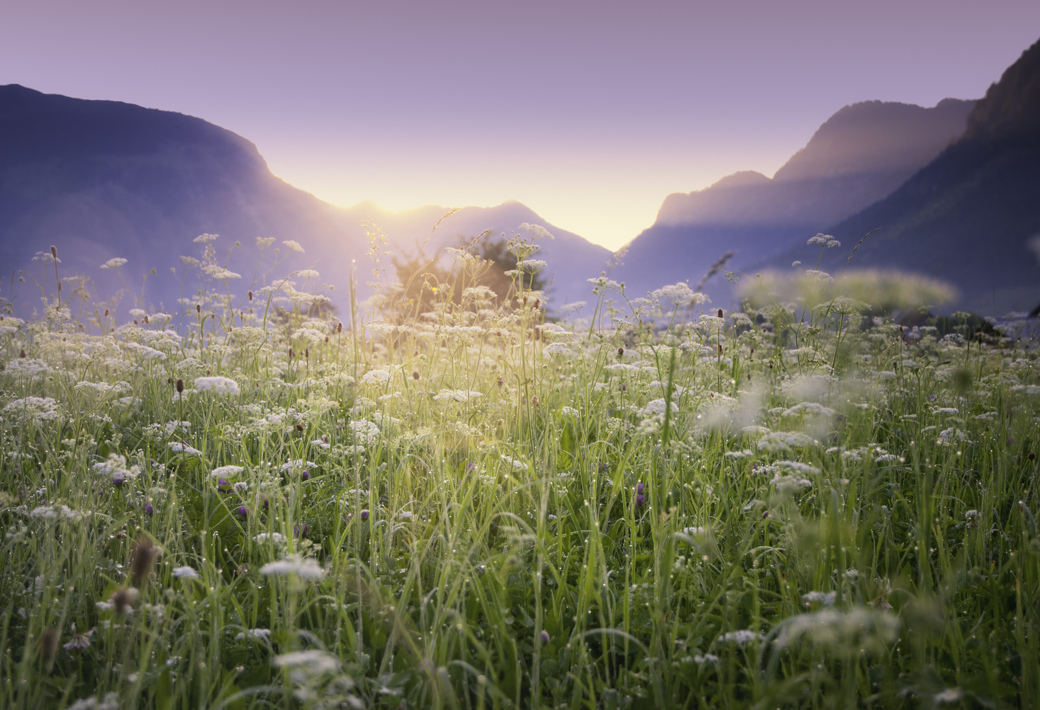 Nikon D80 sample photo. Morning at dachstein photography