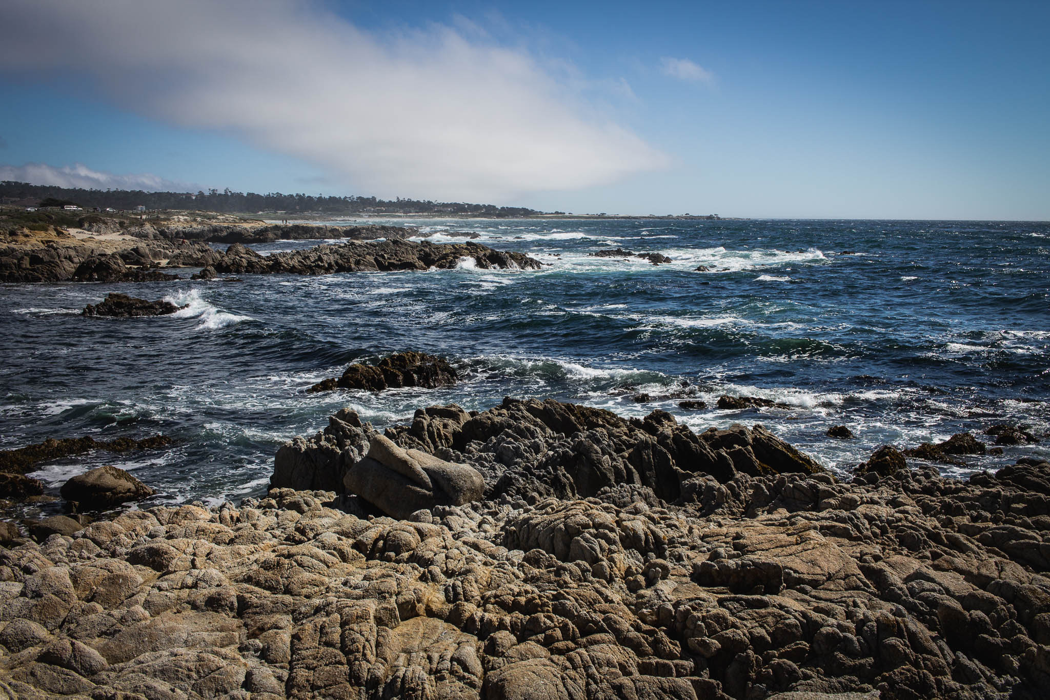 Canon EF-S 24mm F2.8 STM sample photo. California coast photography