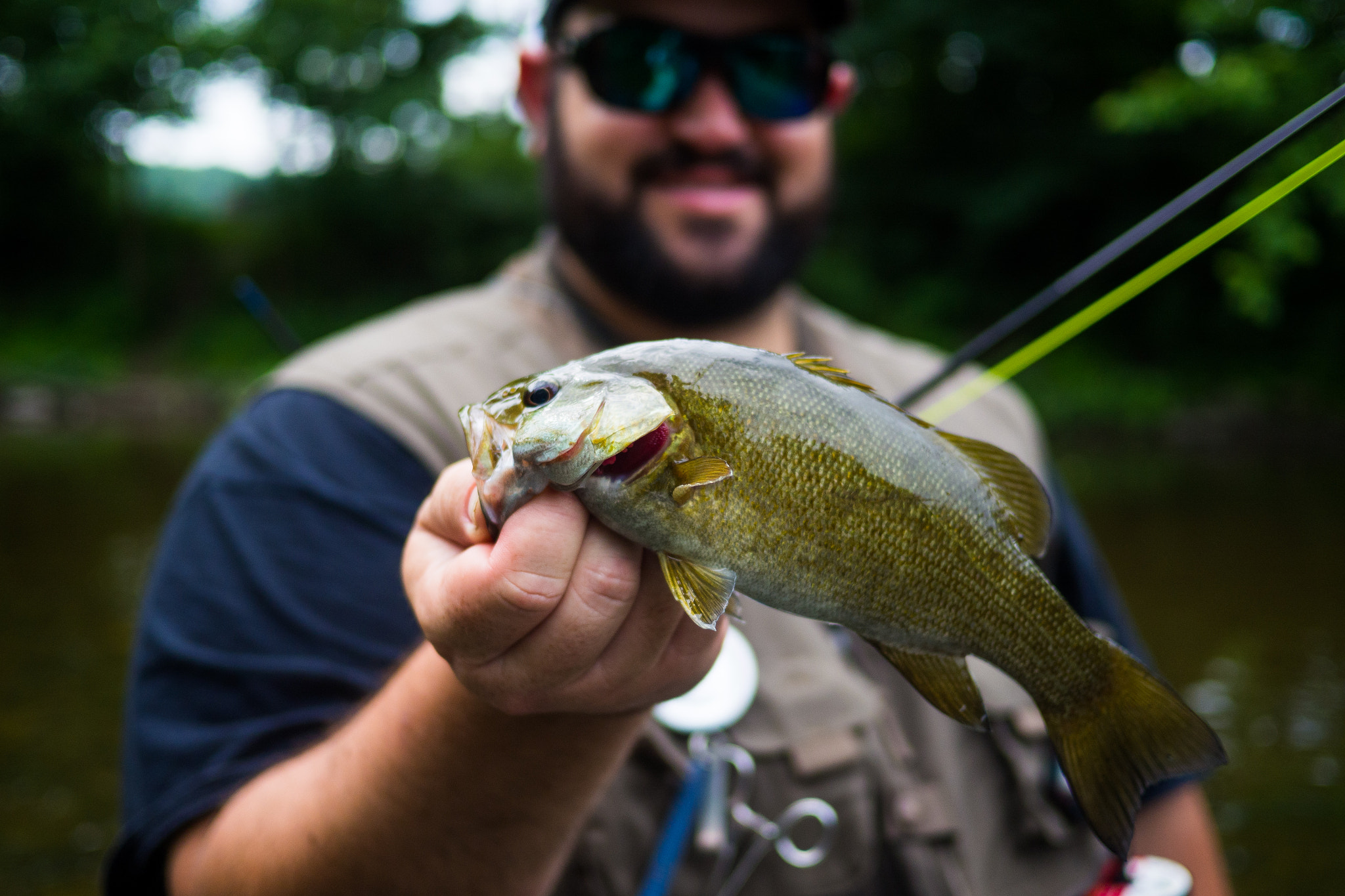 Olympus OM-D E-M10 + Panasonic Lumix G 20mm F1.7 ASPH sample photo. Smallmouth photography