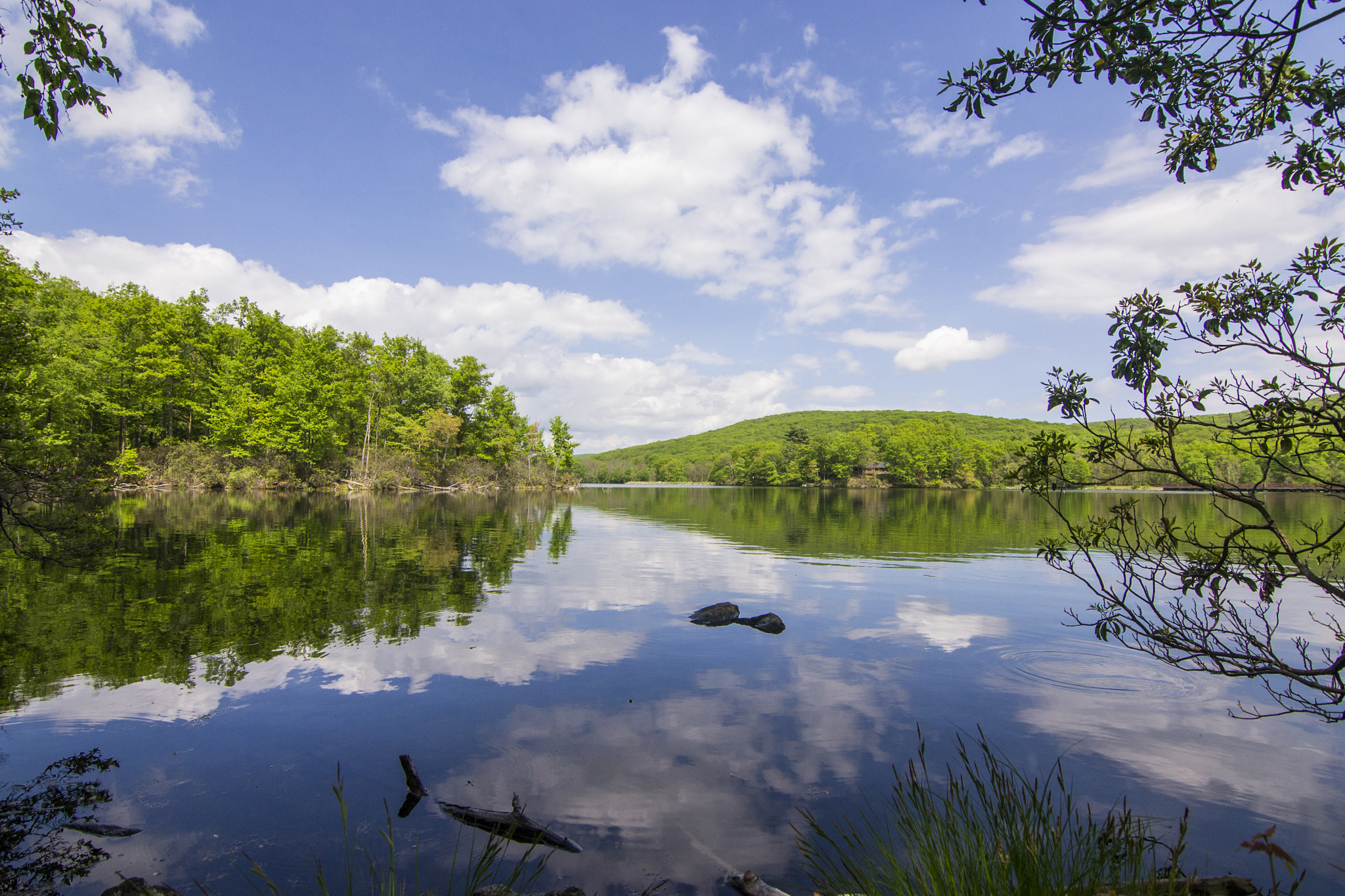Nikon D3100 sample photo. Reflections at lake sabego photography