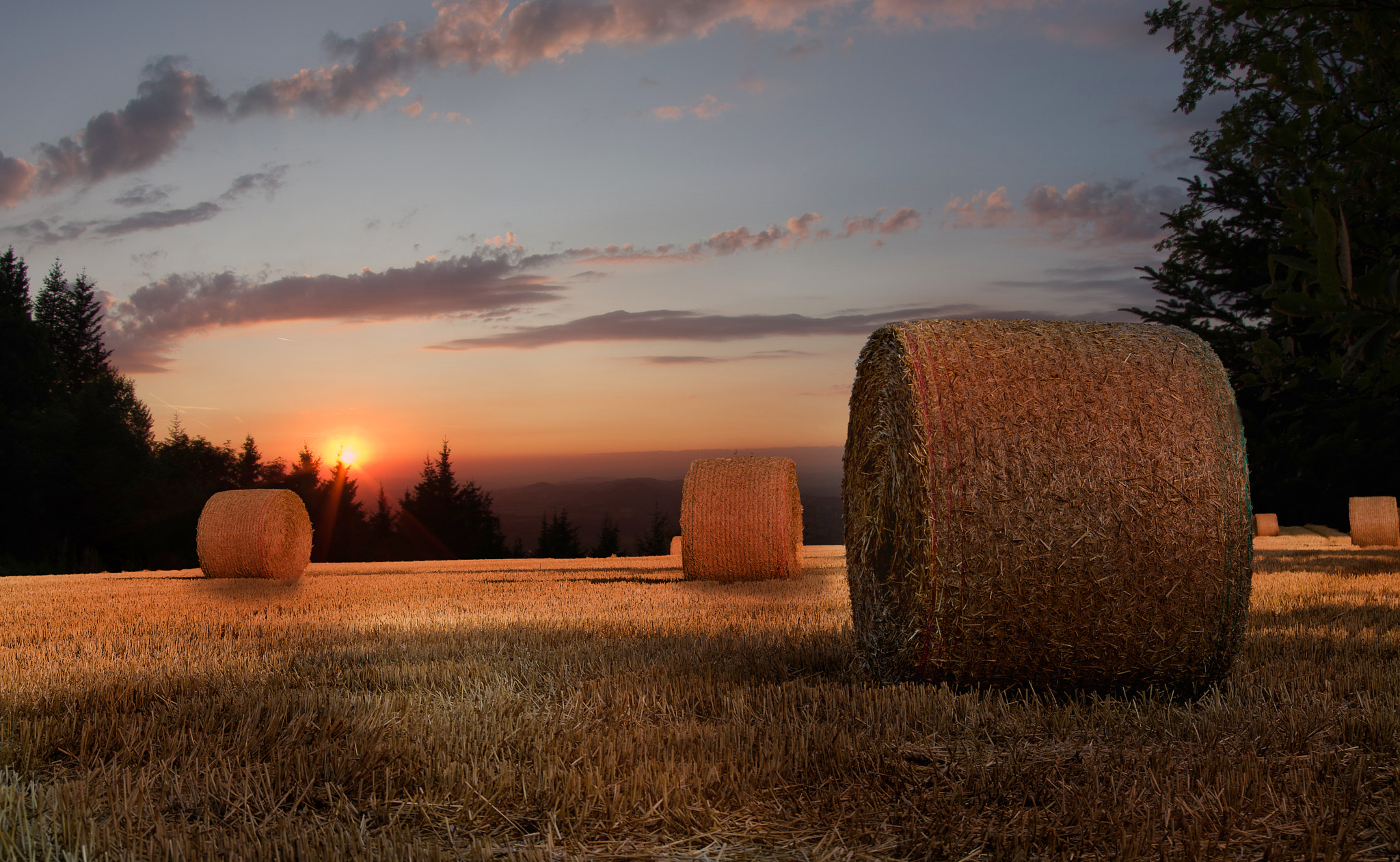 Pentax K-5 sample photo. Sommerzeit photography