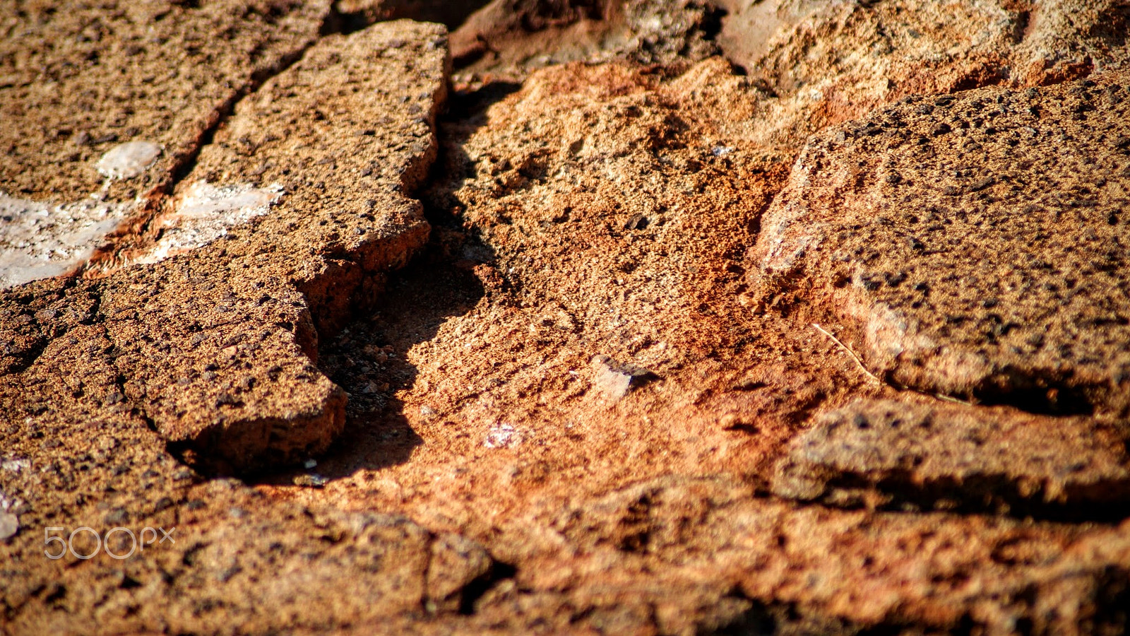 Sony Alpha DSLR-A200 + Tamron Lens (255) sample photo. Washed out photography