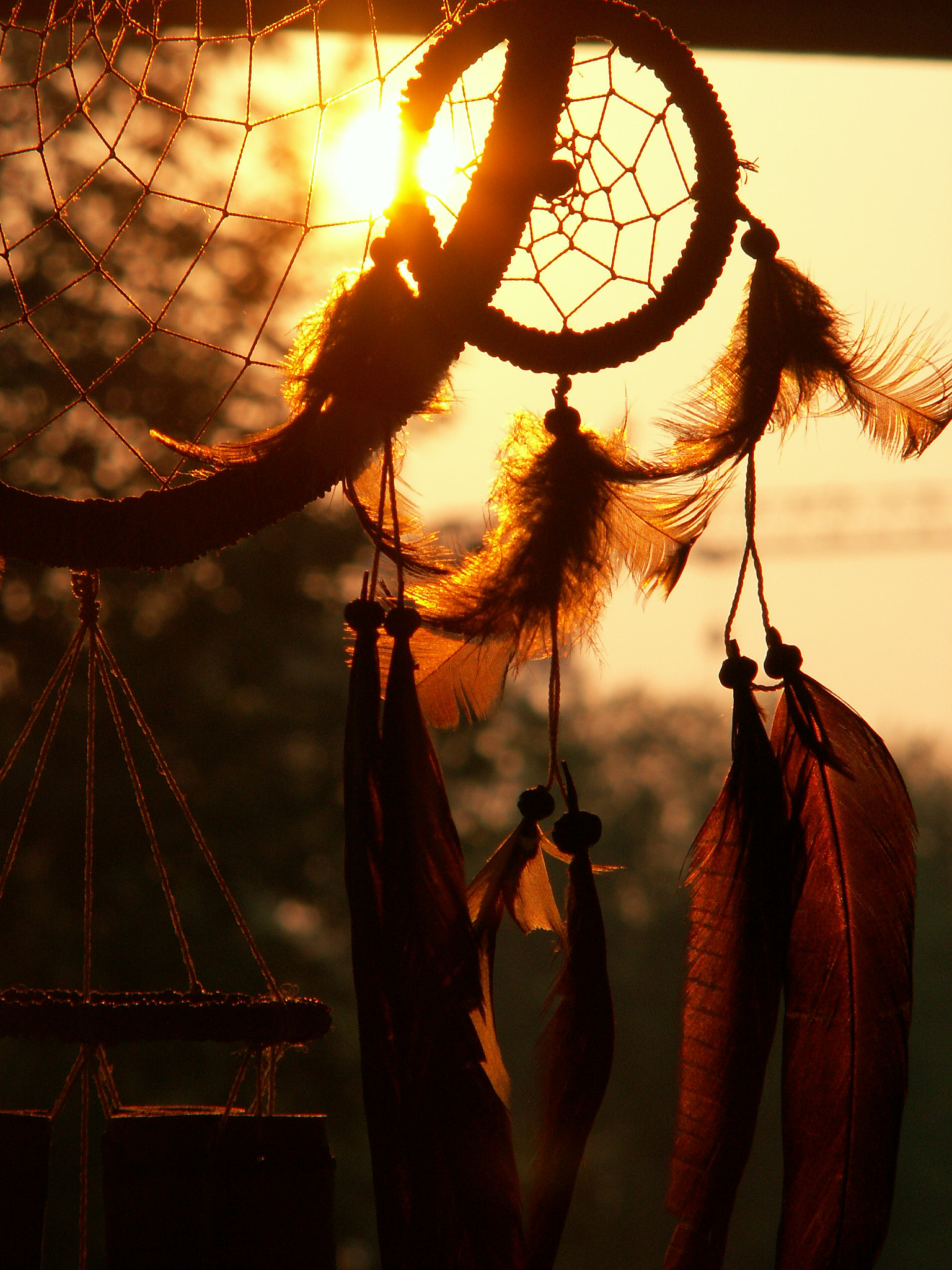 KONICA MINOLTA DiMAGE Z5 sample photo. Dreamcatcher photography