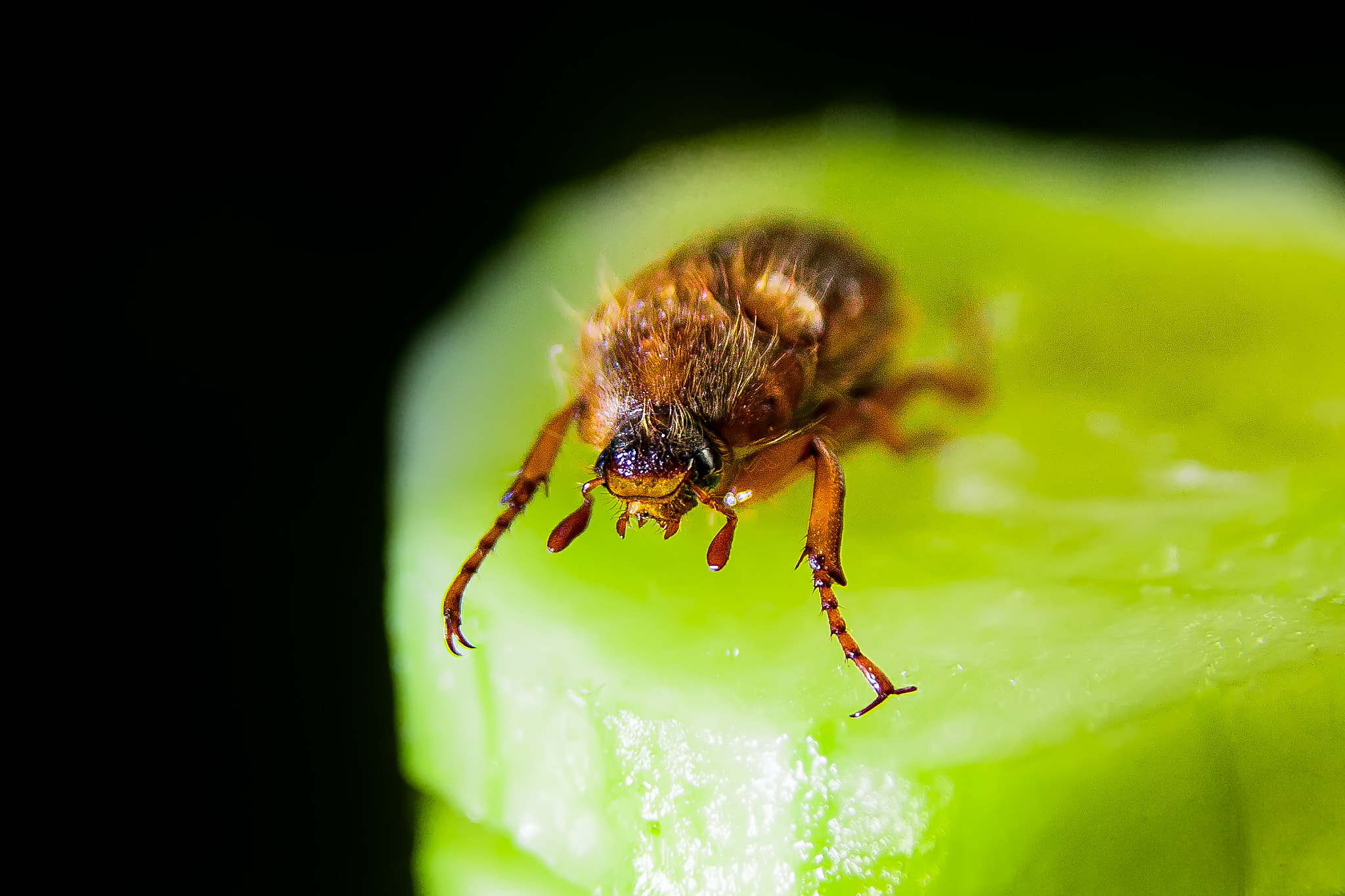 Sigma 17-70mm F2.8-4 DC Macro OS HSM sample photo. Zenon photography