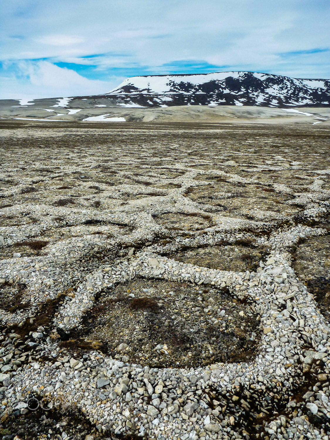 Panasonic DMC-FT4 sample photo. Stone rings in palanderbukta, svalbard photography