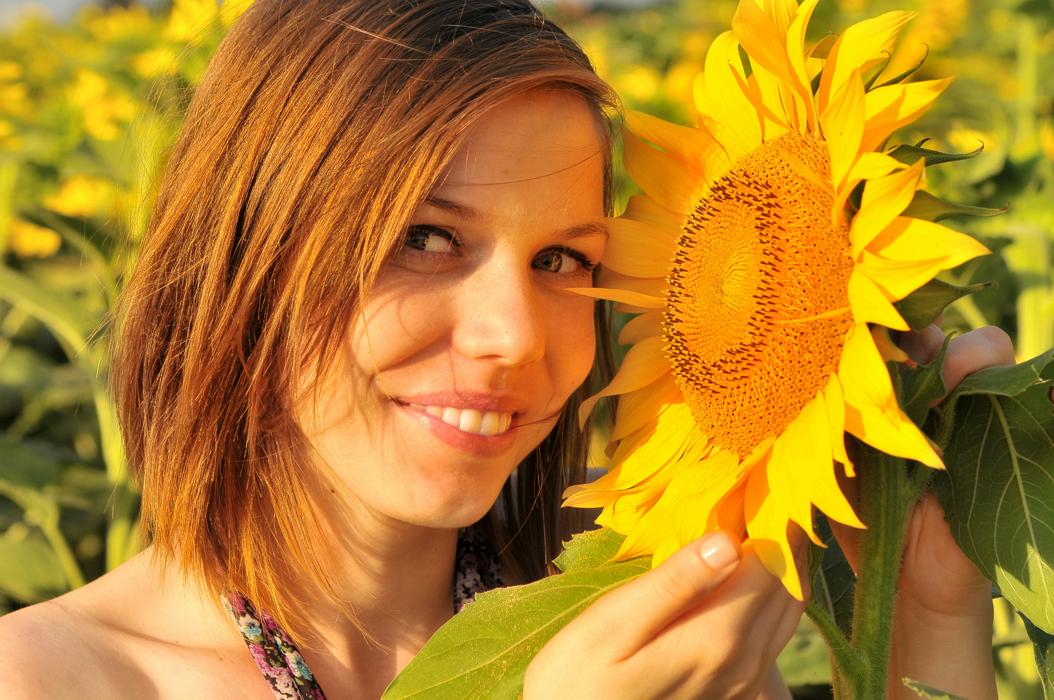 Sigma 24-70mm F2.8 EX DG Macro sample photo. Sunflower girl photography