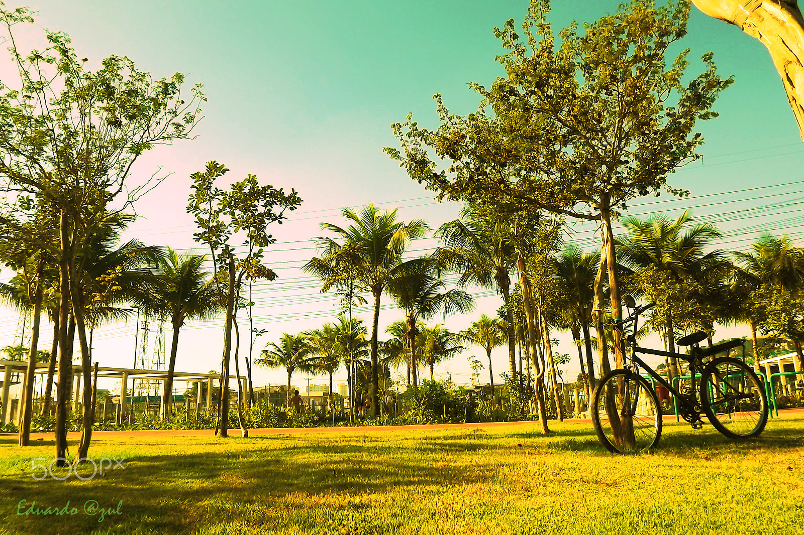 Fujifilm FinePix S3300 sample photo. Parque madureira em um dia de inverno photography