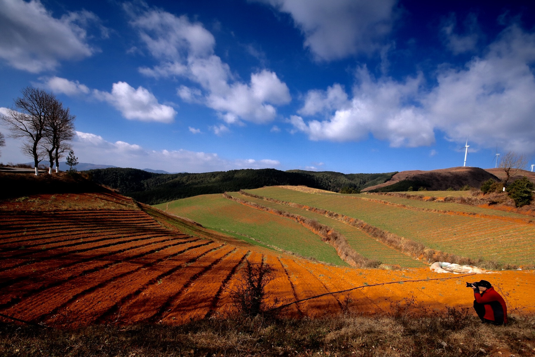 Canon EOS 760D (EOS Rebel T6s / EOS 8000D) + Sigma 10-20mm F4-5.6 EX DC HSM sample photo. Waiting for spring: red earth in south of china. photography
