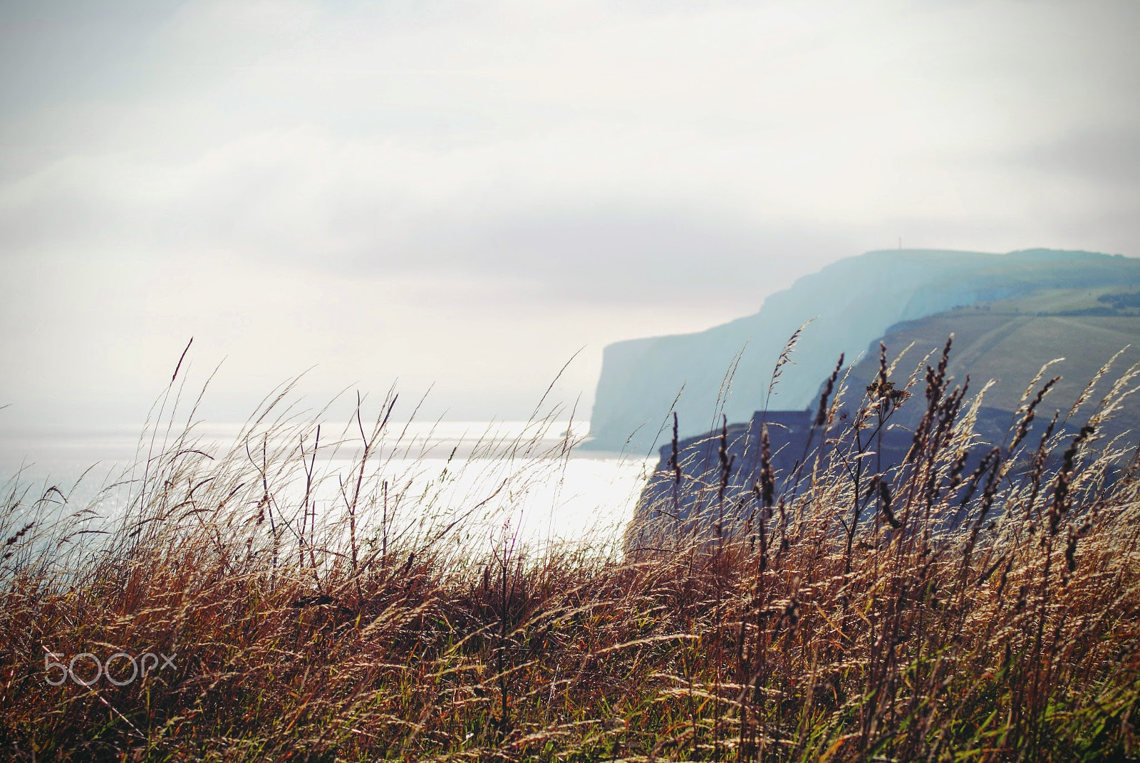 Sony Alpha DSLR-A200 + Tamron Lens (255) sample photo. Serenity photography