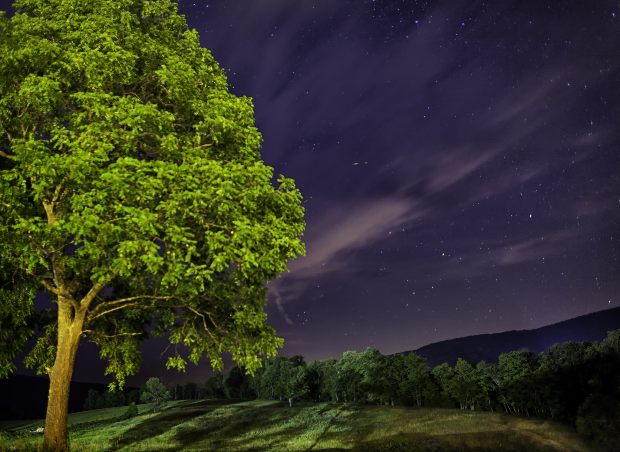 Canon EF 24mm f/1.4L sample photo. Woodward at night photography