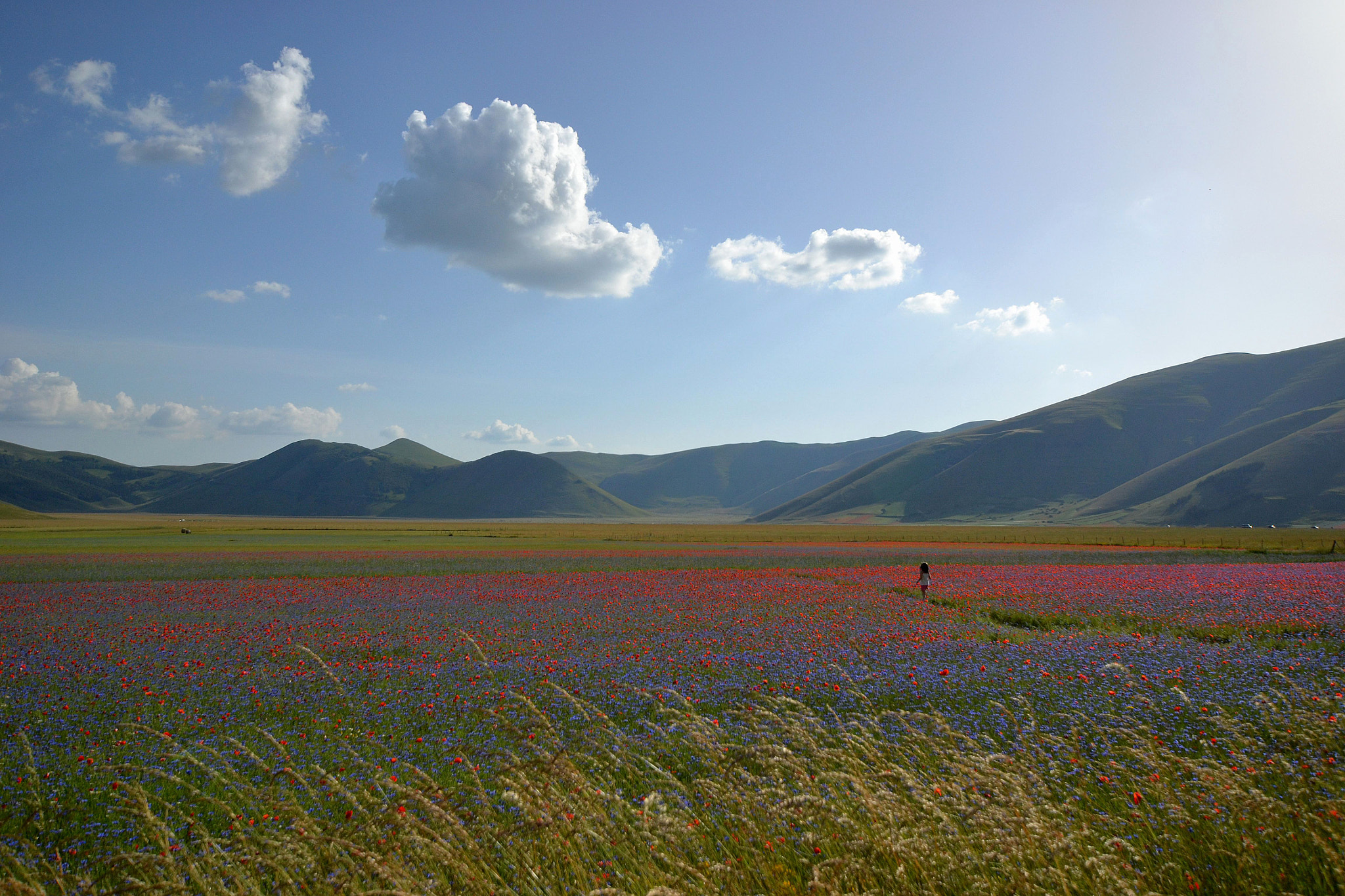 Nikon D3100 + Sigma 10-20mm F3.5 EX DC HSM sample photo. Colori a castelluccio di norcia photography