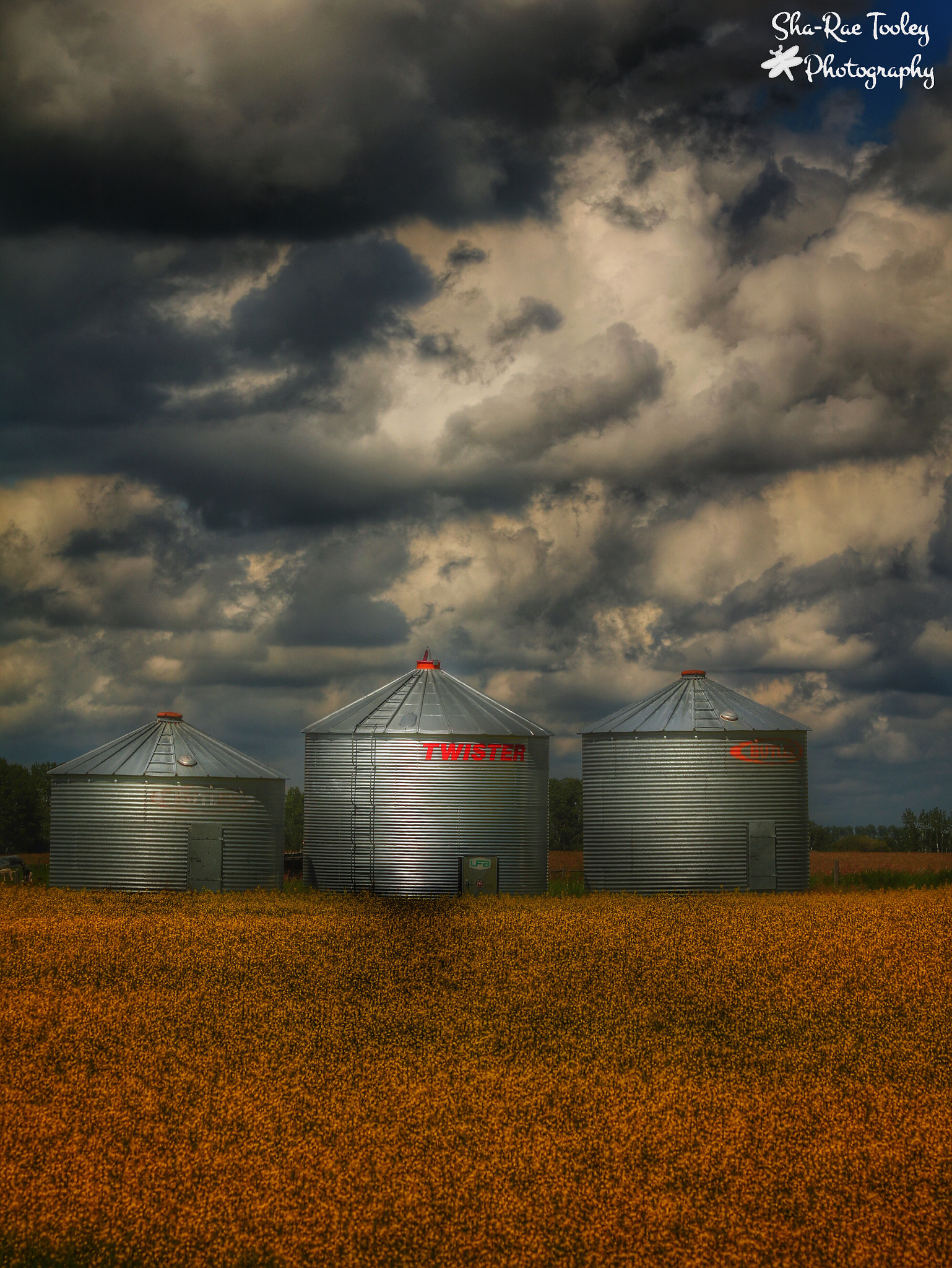 Canon EF 70-300mm F4-5.6 IS USM sample photo. Silos in a storm photography