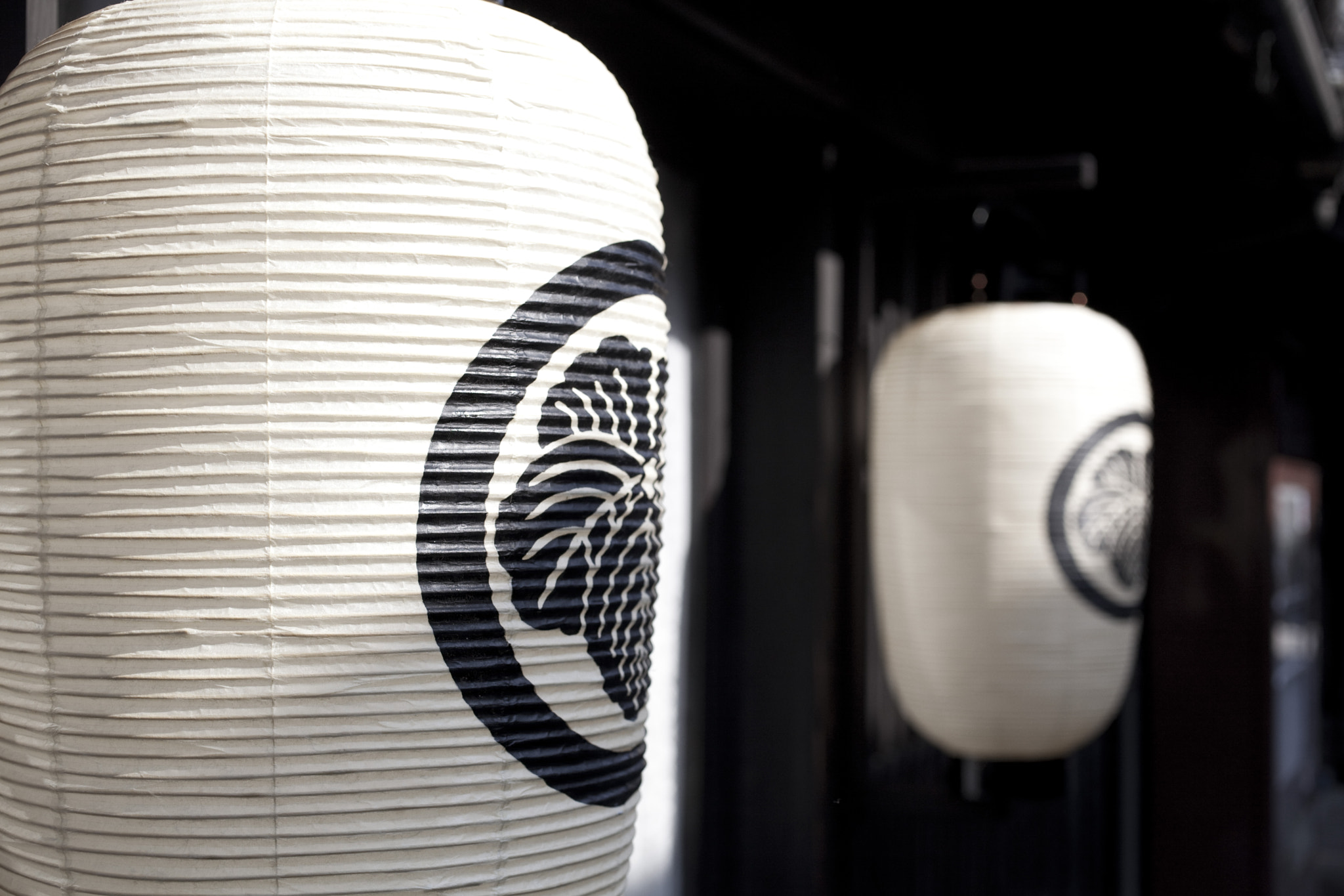 Canon EF 50mm F2.5 Macro sample photo. Japanese paper lanterns, chouchin photography