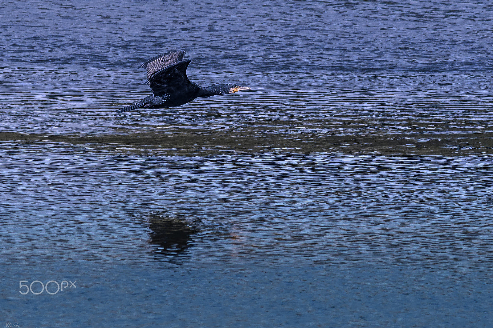 Nikon AF-S Nikkor 400mm F2.8G ED VR II sample photo. U photography
