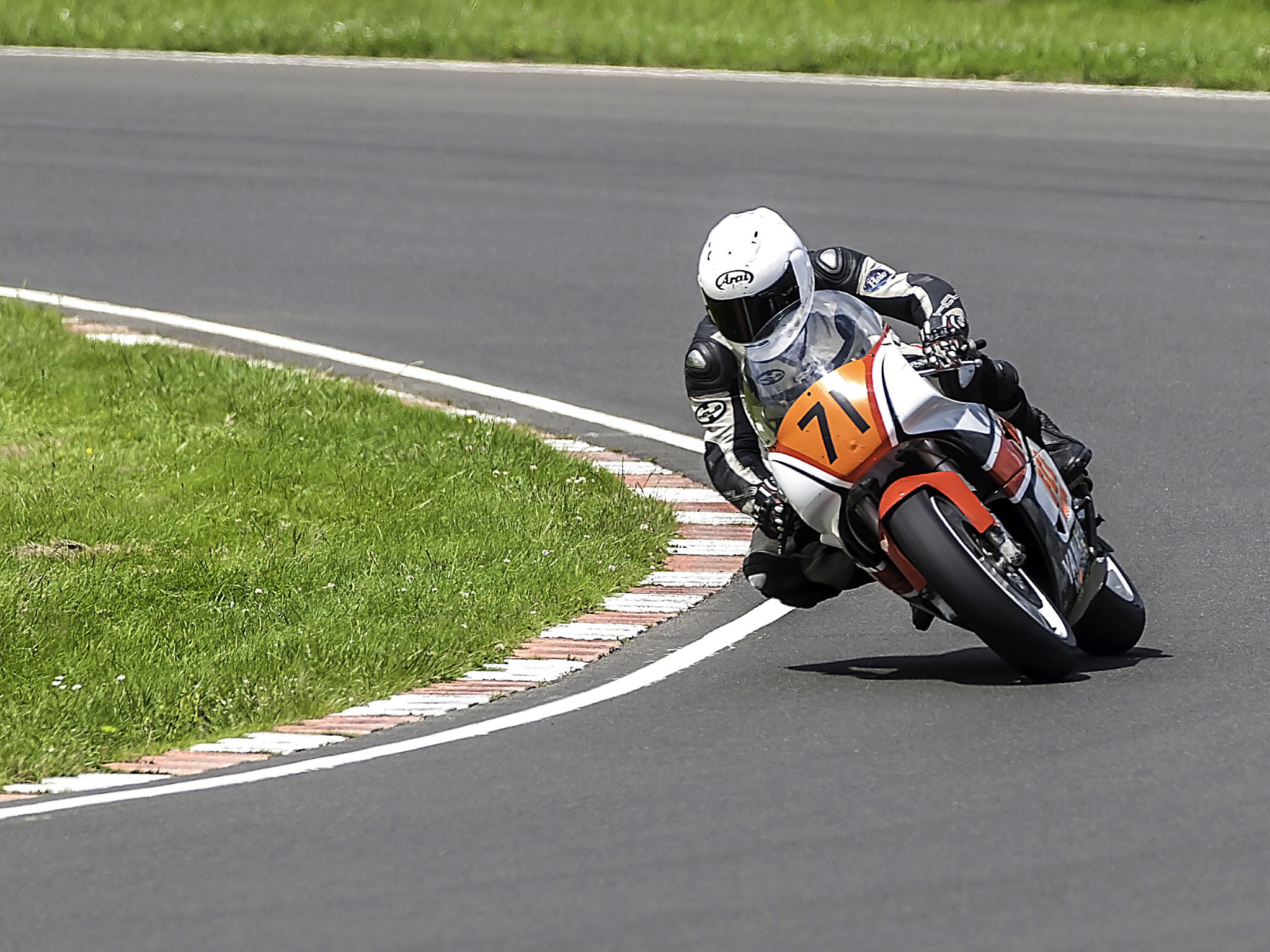 Sigma 150-600mm F5-6.3 DG OS HSM | C sample photo. Curves adjustment photography