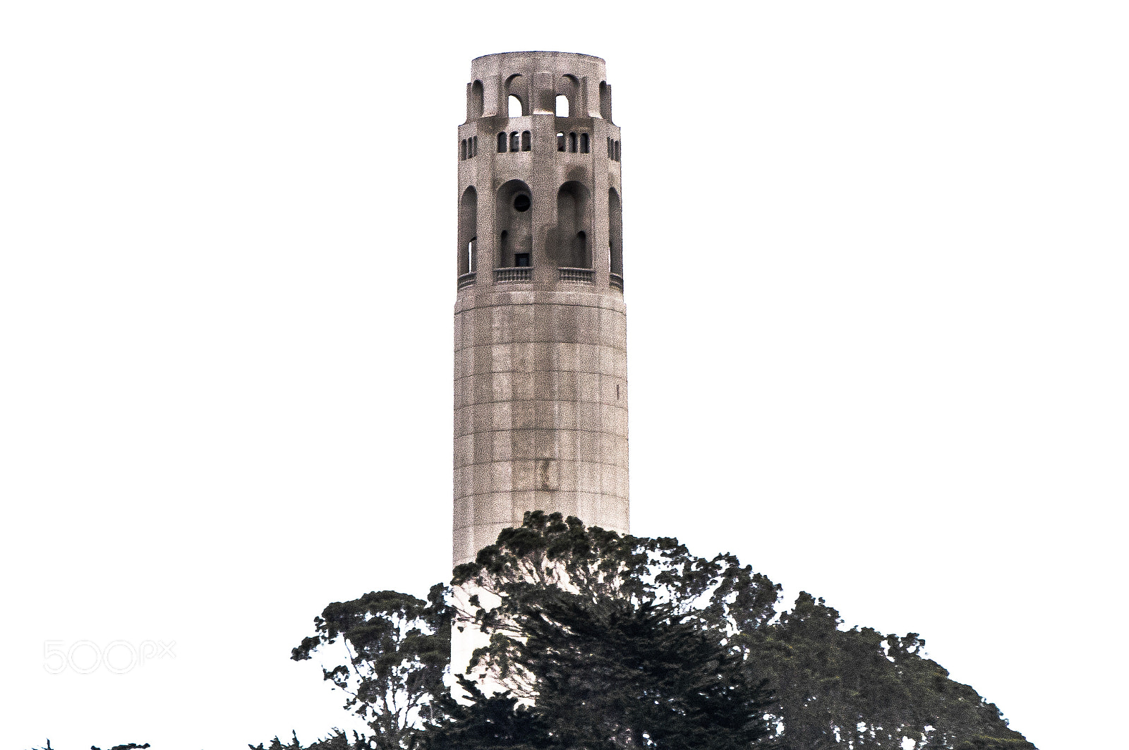 Sony Alpha NEX-5N + Sony E 55-210mm F4.5-6.3 OSS sample photo. A blown coit photography