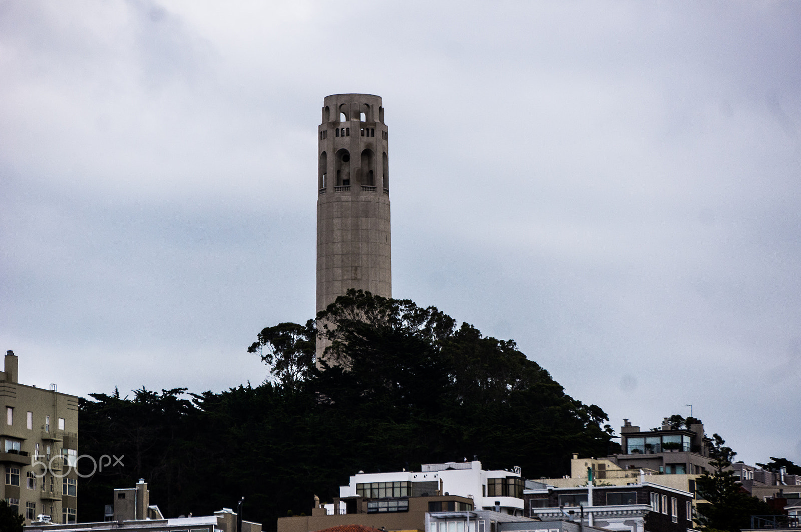 Sony Alpha NEX-5N + Sony E 55-210mm F4.5-6.3 OSS sample photo. Coit through the trees photography