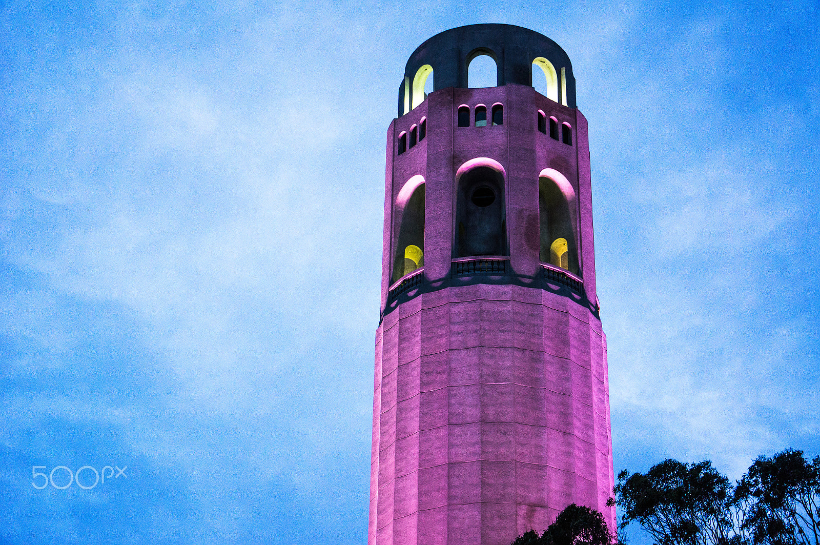 Sony Alpha NEX-5N + Sony E 55-210mm F4.5-6.3 OSS sample photo. Coit with a little color photography