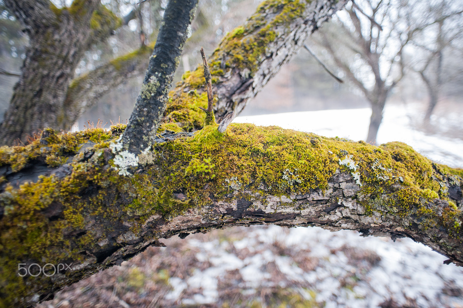 Nikon D700 + AF Nikkor 20mm f/2.8 sample photo. Untitled photography