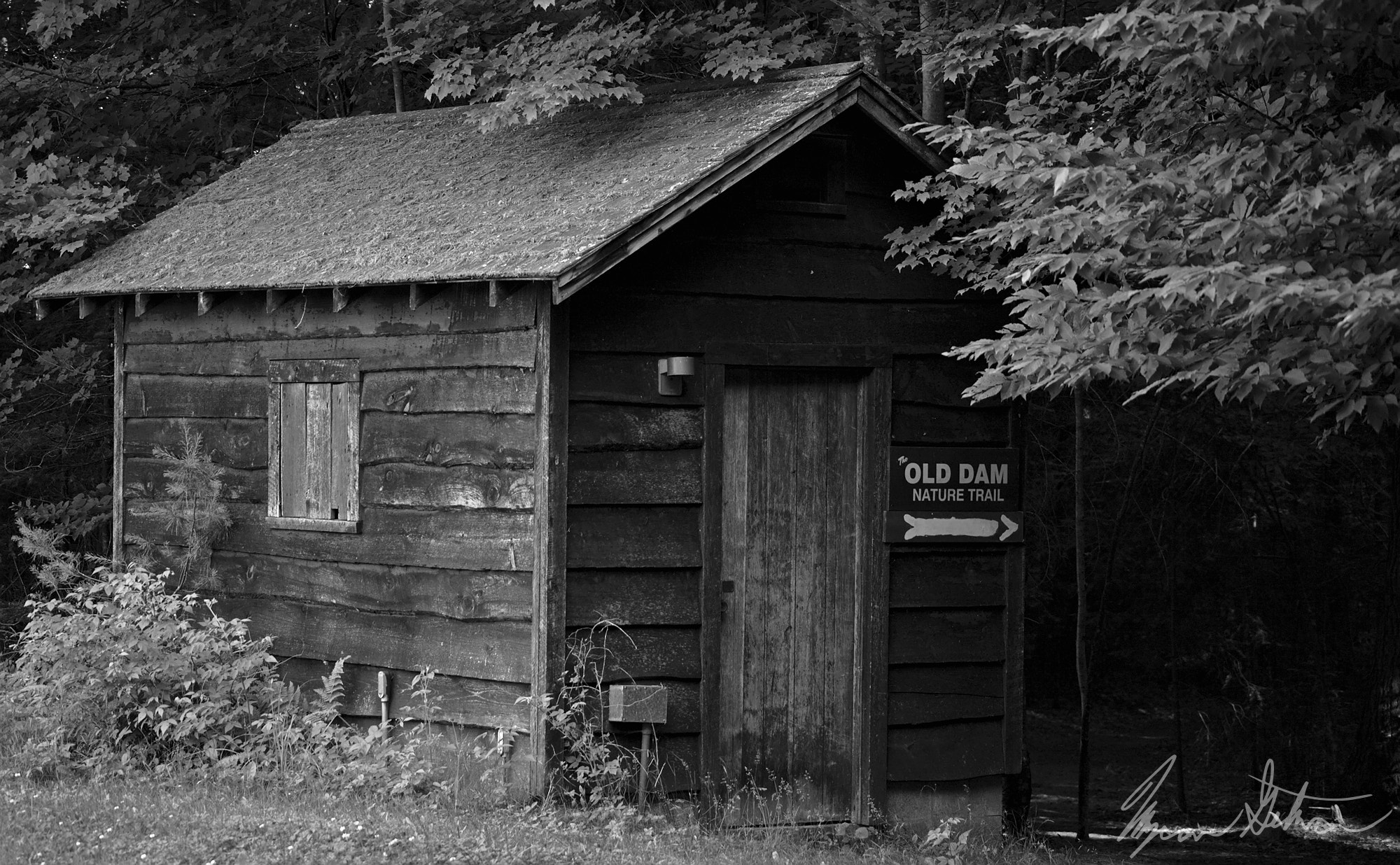 Canon EOS 5D + EF75-300mm f/4-5.6 sample photo. Old dam nature trail photography