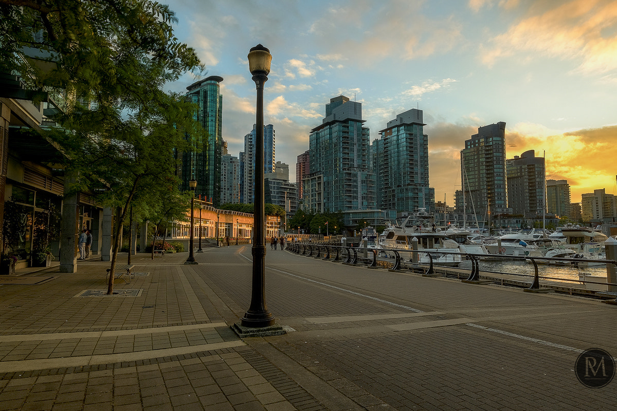 Fujifilm X-T10 + Fujifilm XF 14mm F2.8 R sample photo. Evening stroll photography