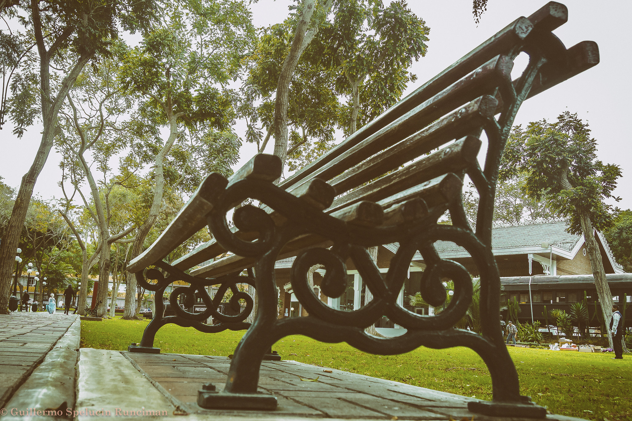 Sony DT 18-250mm F3.5-6.3 sample photo. Park chair photography