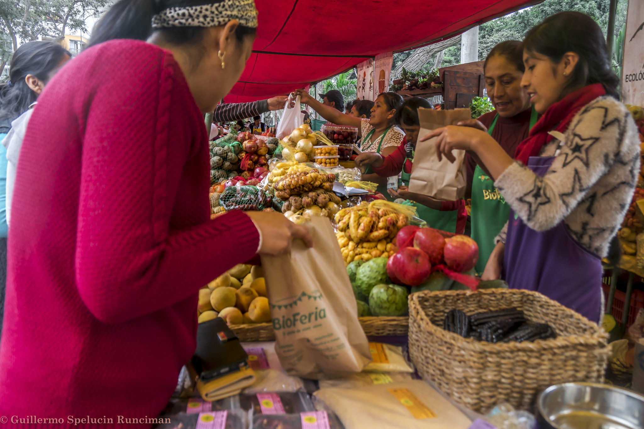 Sony DT 18-250mm F3.5-6.3 sample photo. The organic market photography