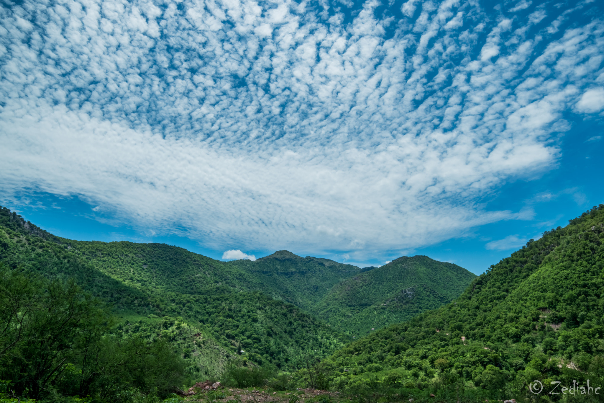 Samyang 14mm F2.8 ED AS IF UMC sample photo. Greenn photography