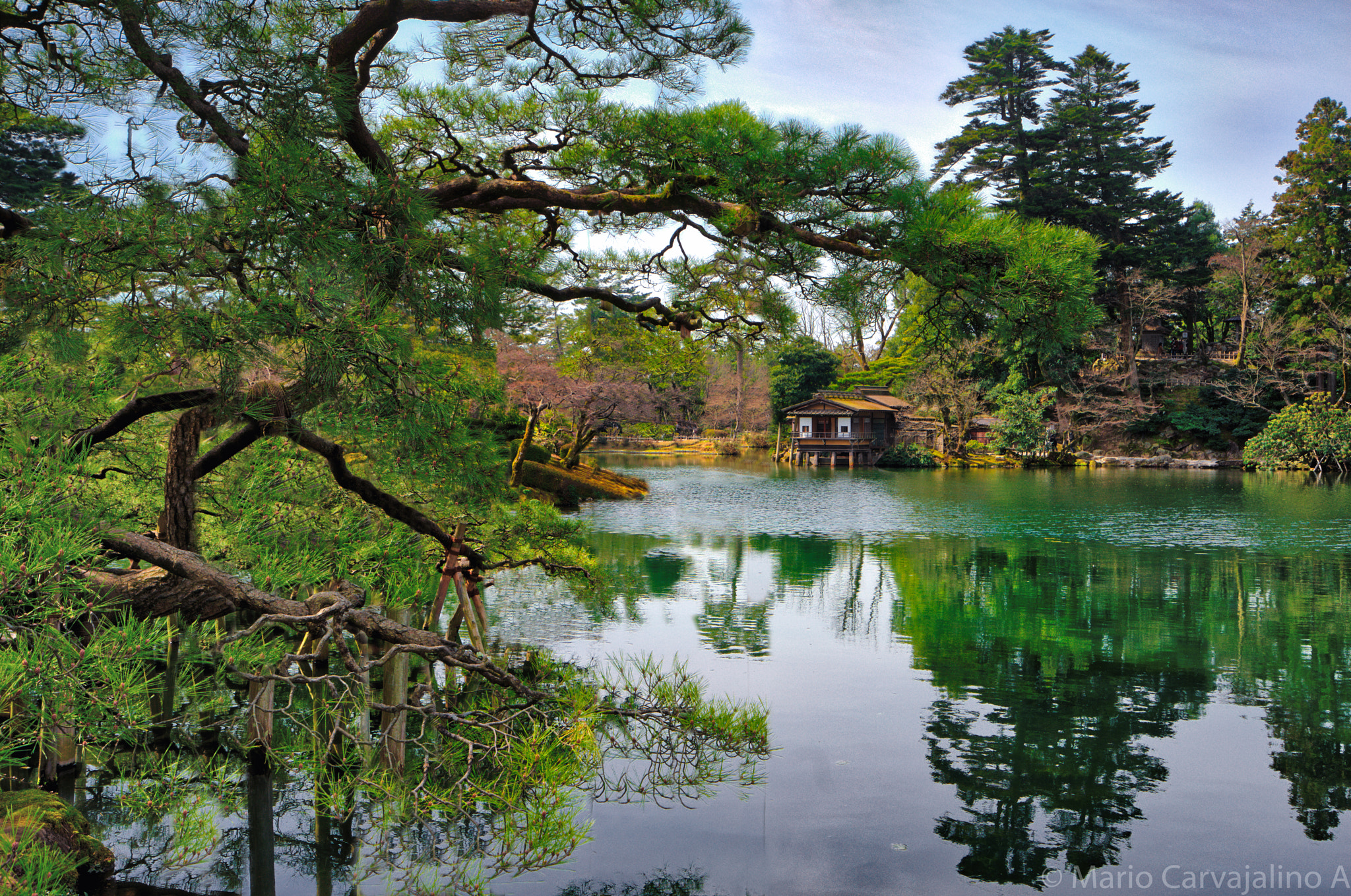 Sony a7R + Sony Vario-Tessar T* FE 16-35mm F4 ZA OSS sample photo. Kenrokuen park the jewel of kanazawa japan. trees  ... photography