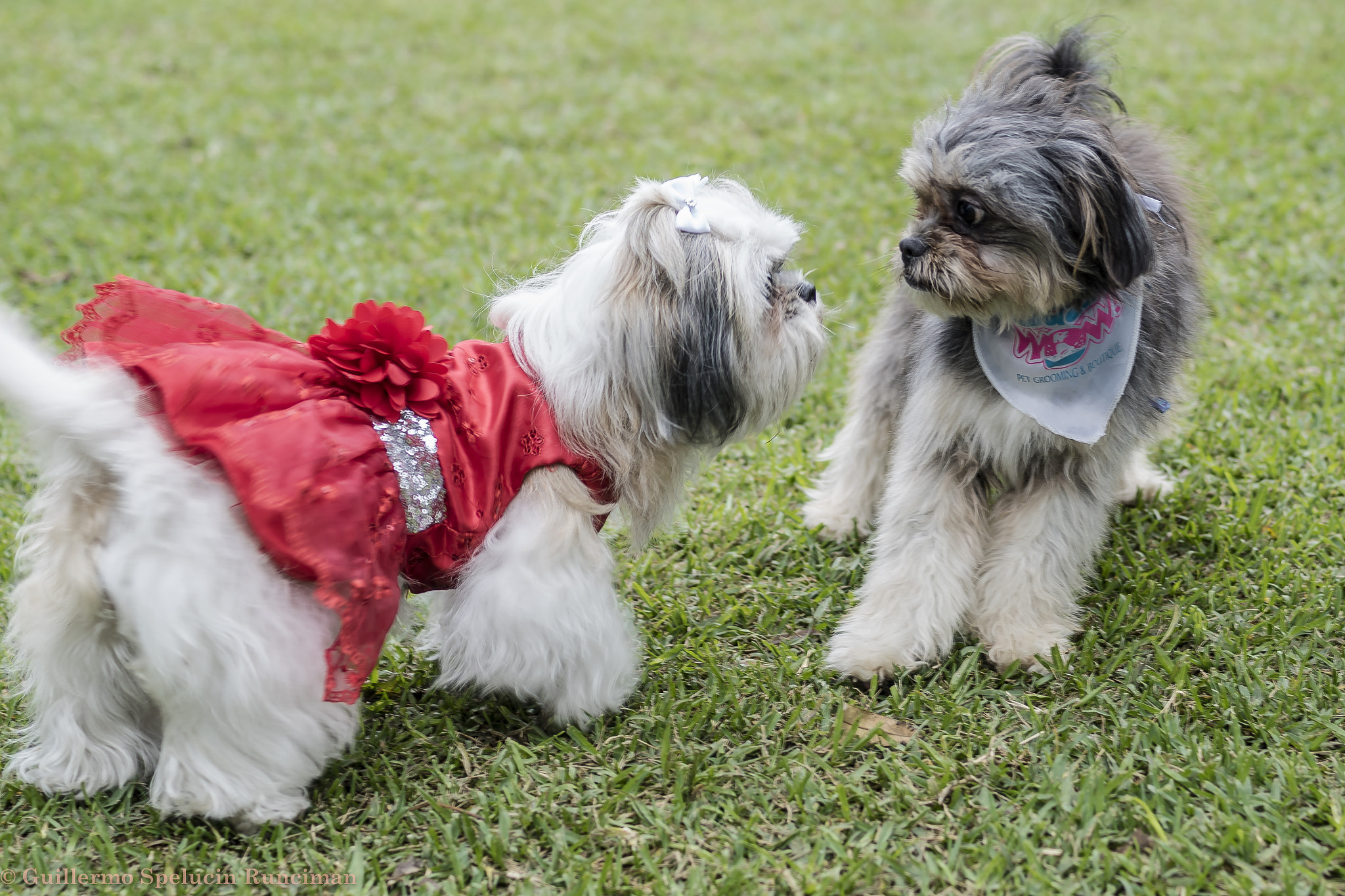 Sony ILCA-77M2 + Sony 50mm F1.4 sample photo. Relationship photography
